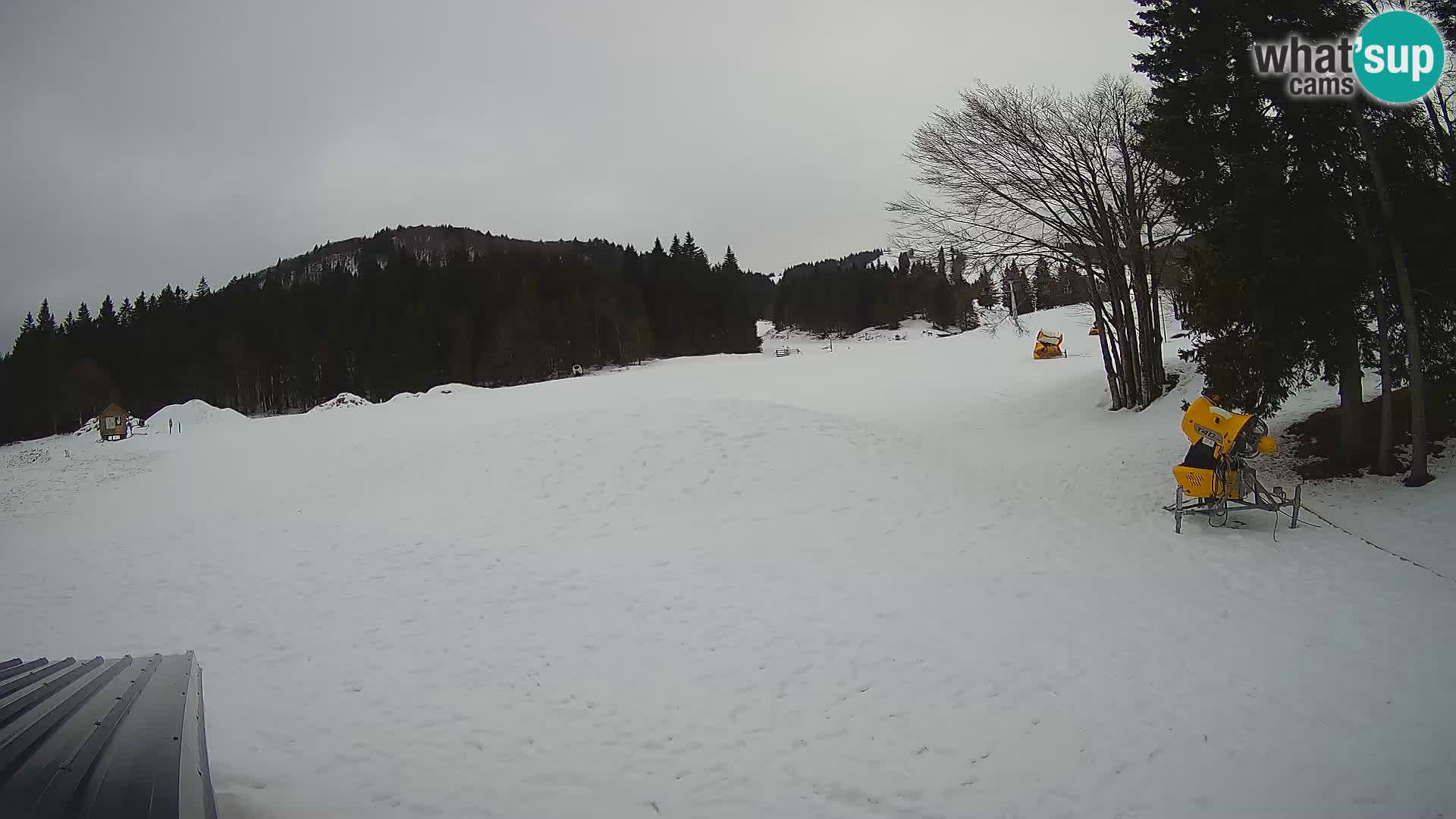 Live Webcam Skigebiet Sorica – Sorška planina – Slowenien