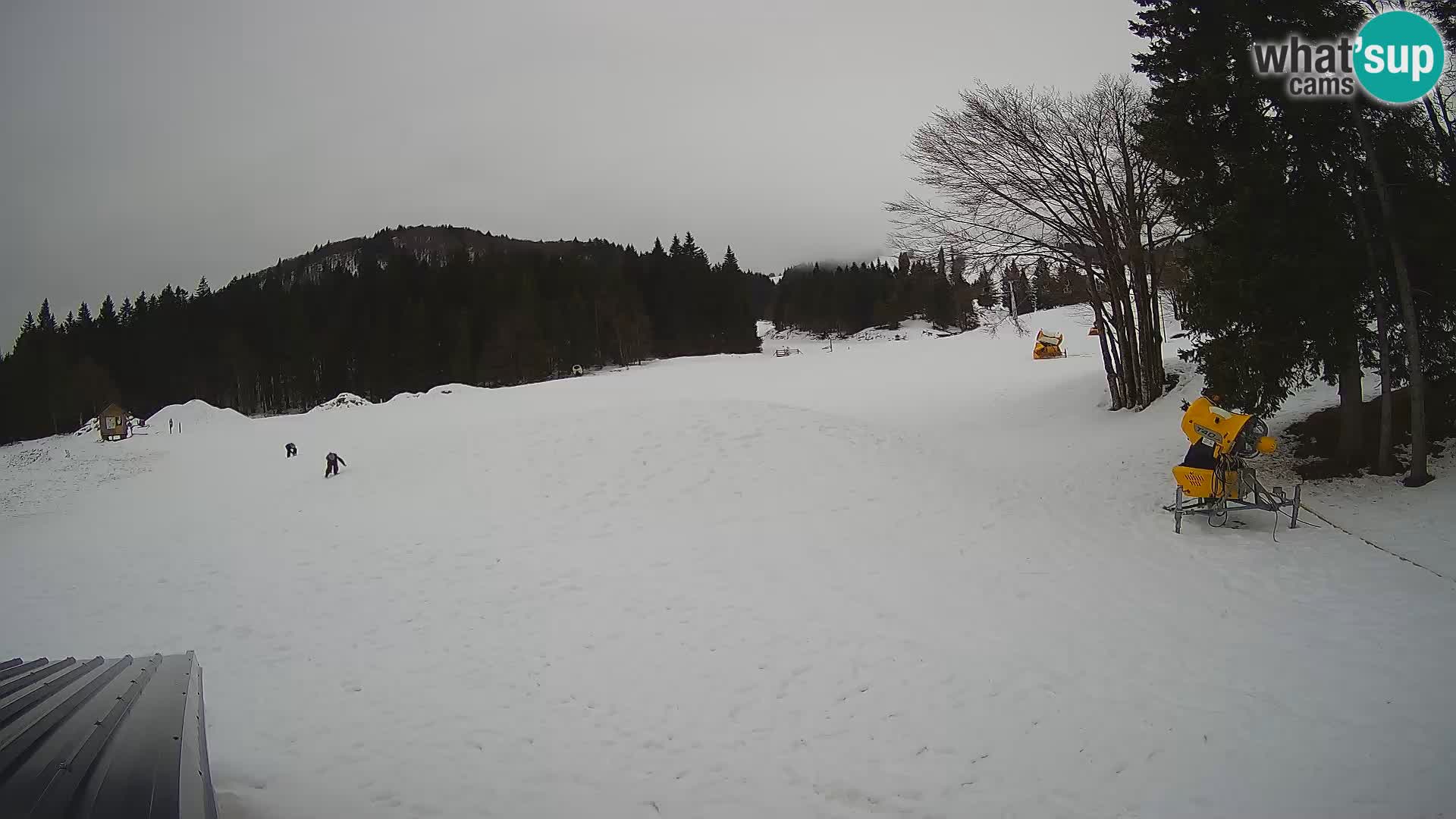 Webcam en vivo Estación de esquí de Sorica – Sorška planina – Eslovenia