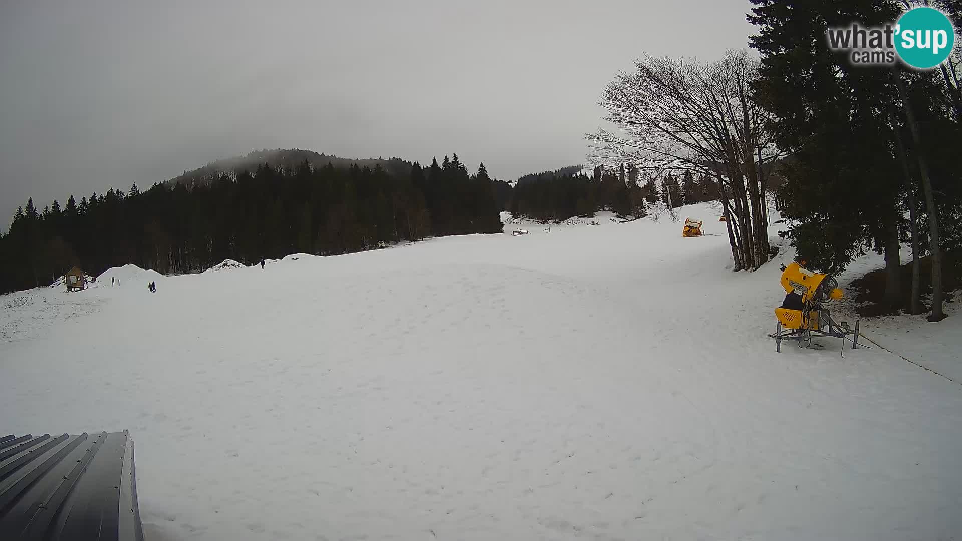 Webcam en vivo Estación de esquí de Sorica – Sorška planina – Eslovenia