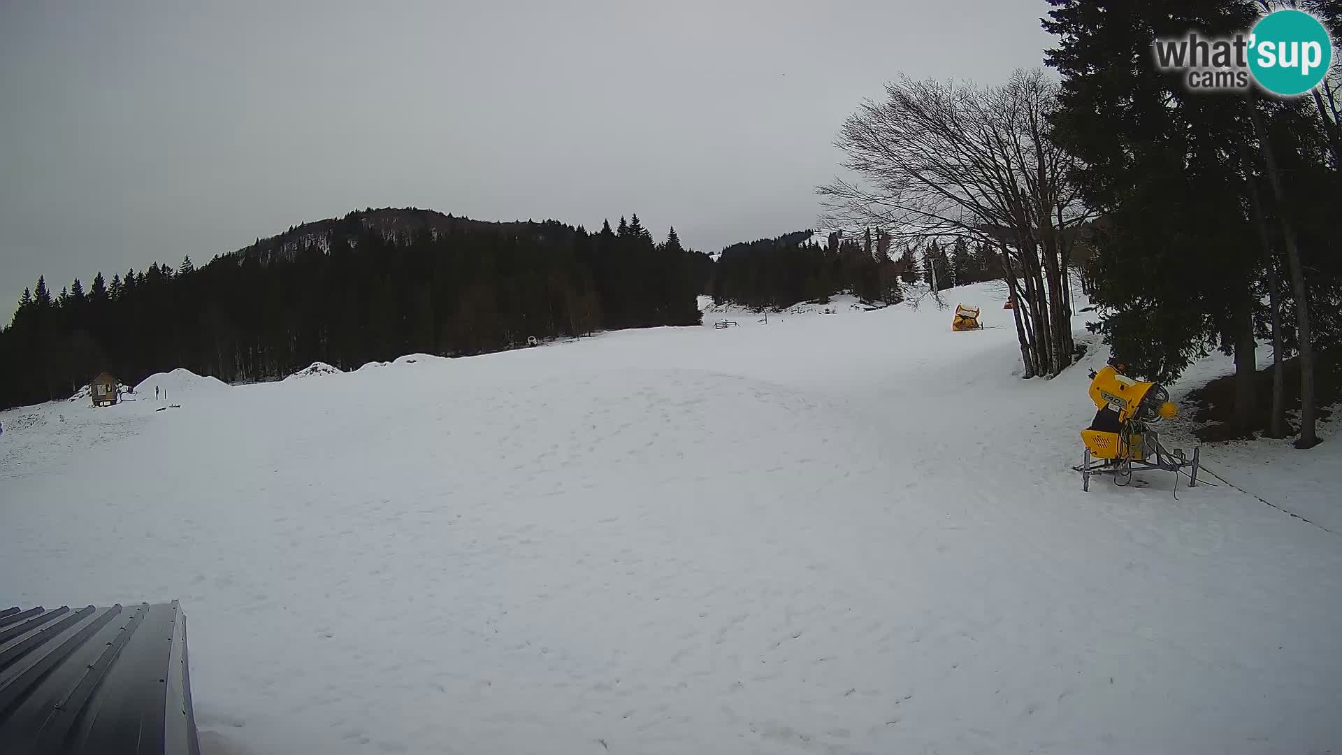 Webcam en vivo Estación de esquí de Sorica – Sorška planina – Eslovenia