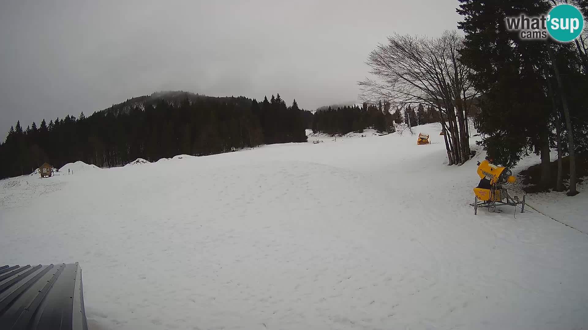 Live Webcam Stazione sciistica di Sorica – Sorška planina – Slovenia