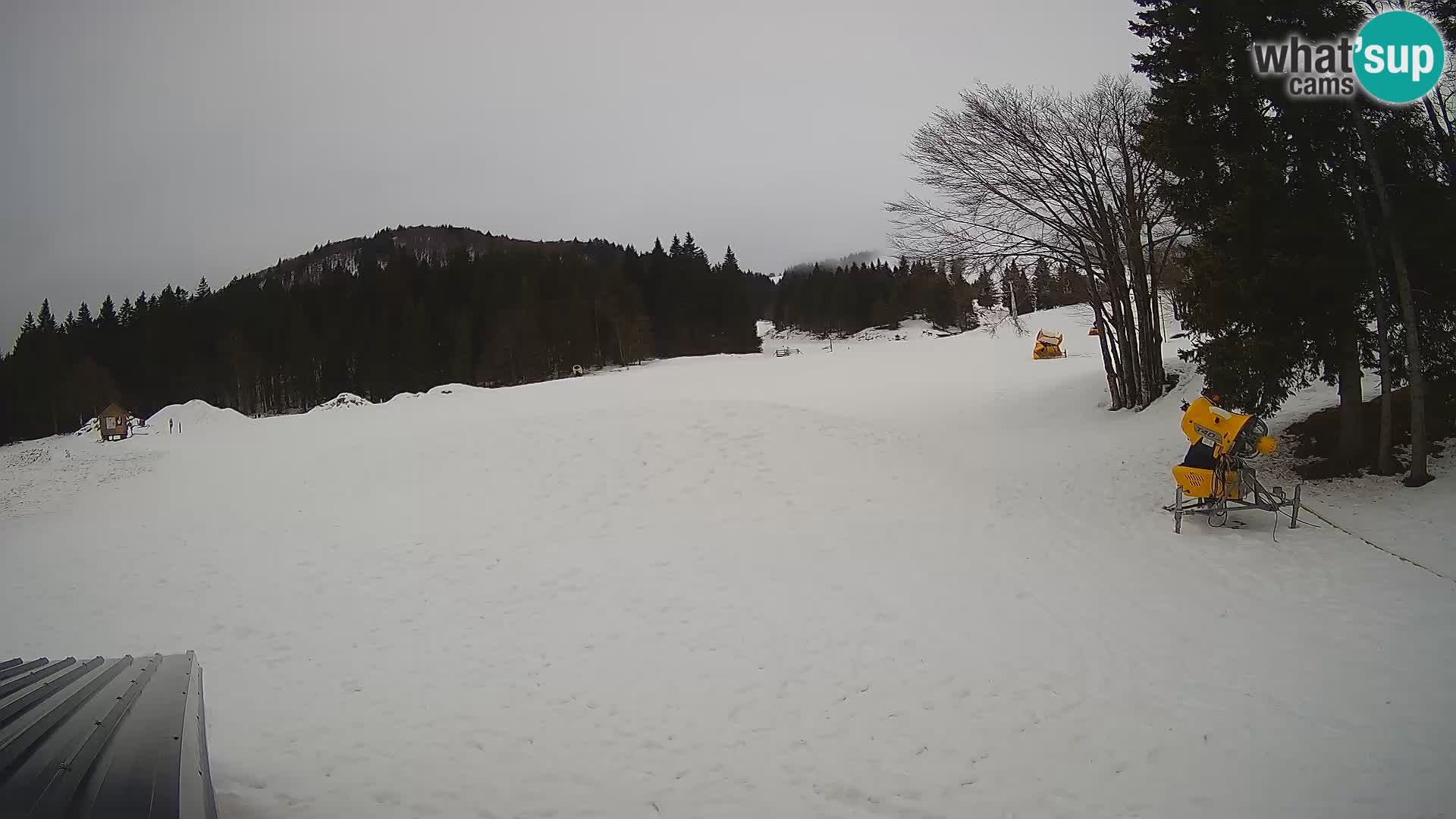 Live Webcam Skigebiet Sorica – Sorška planina – Slowenien