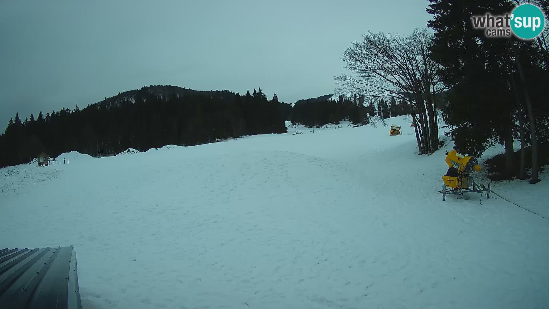 Webcam en direct station de ski de Sorica – Sorška planina – Slovénie