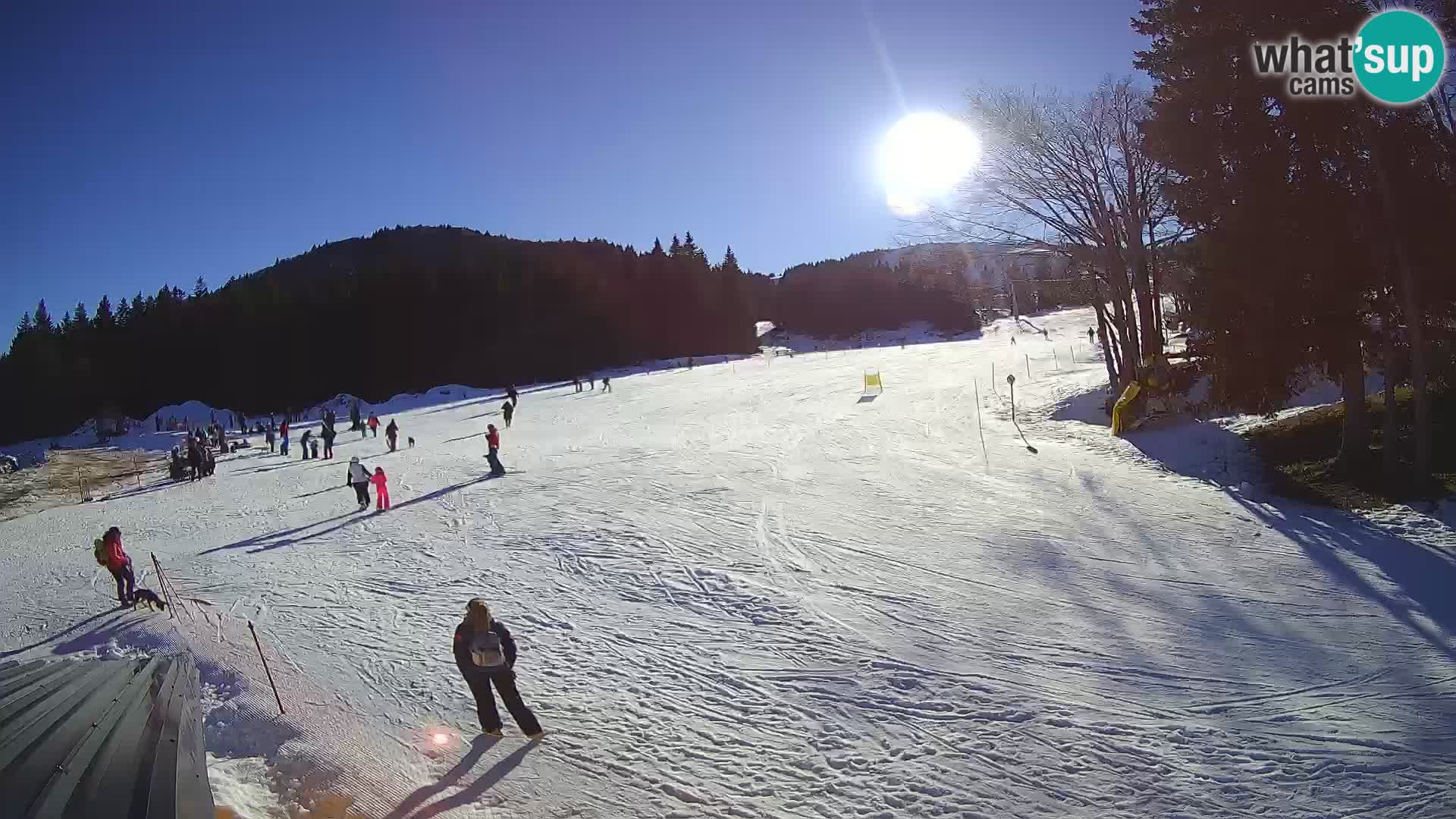 Smučišče Sorica spletna kamera – Sorška planina