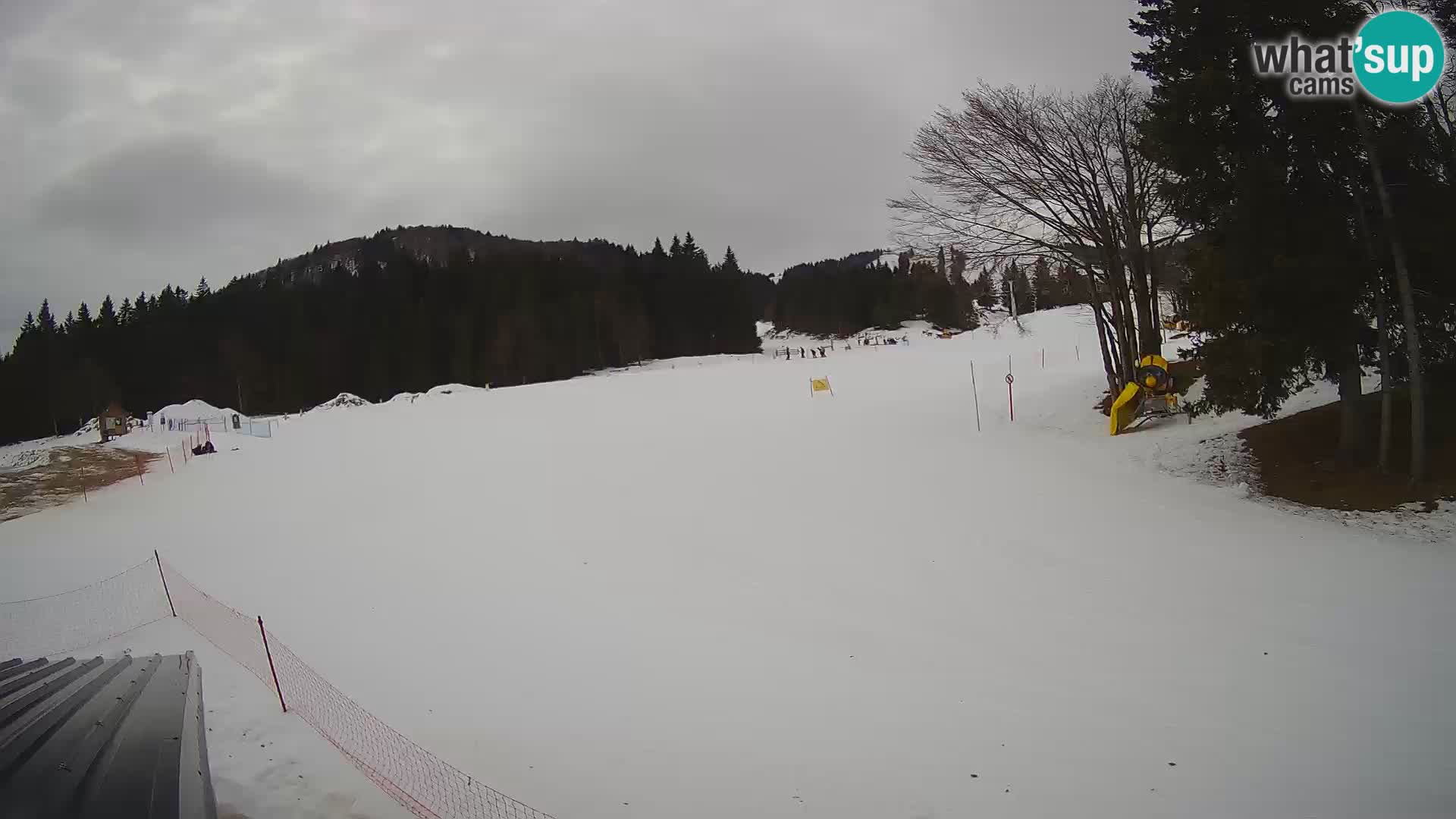 Webcam en vivo Estación de esquí de Sorica – Sorška planina – Eslovenia