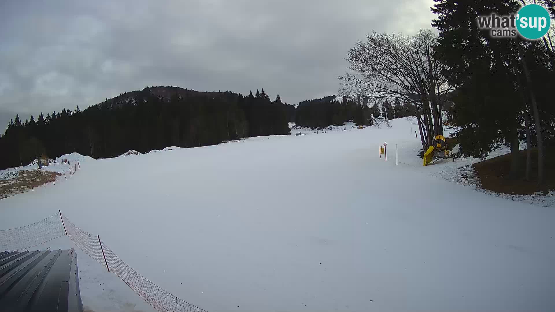 Smučišče Sorica spletna kamera – Sorška planina