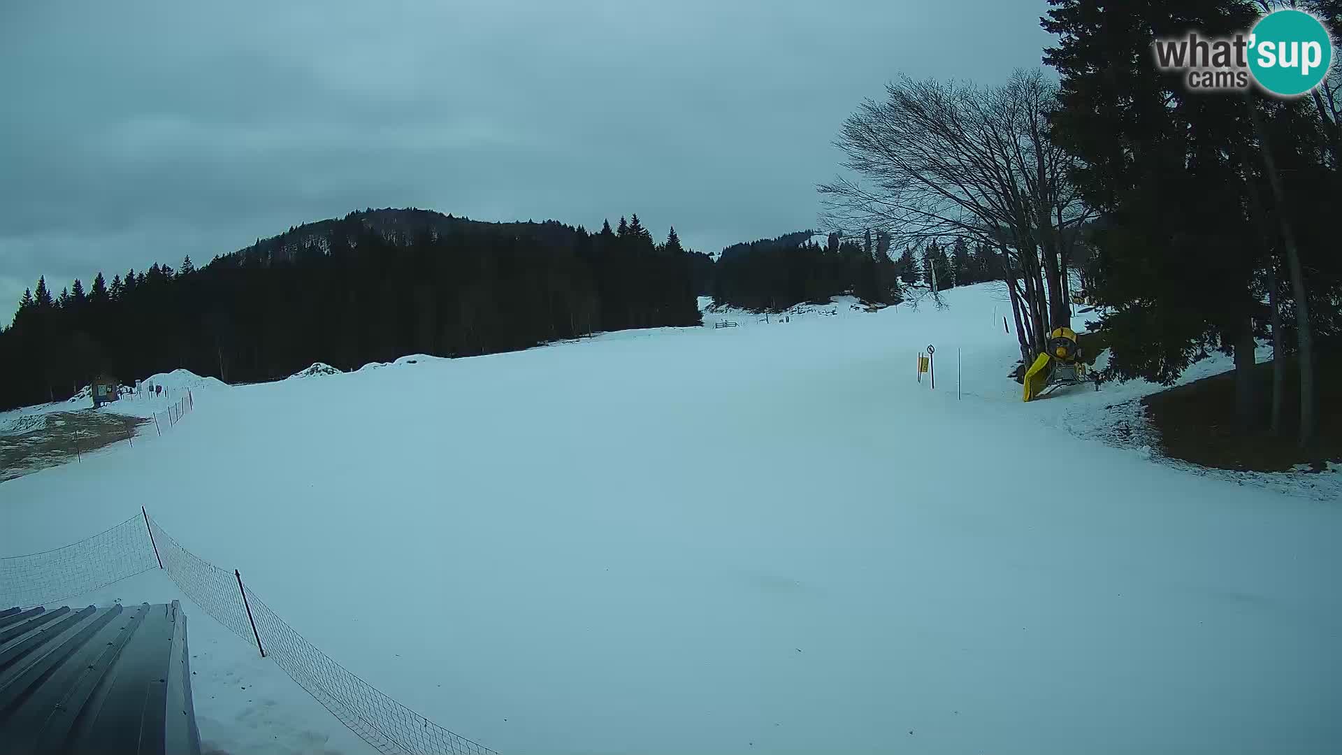 Smučišče Sorica spletna kamera – Sorška planina