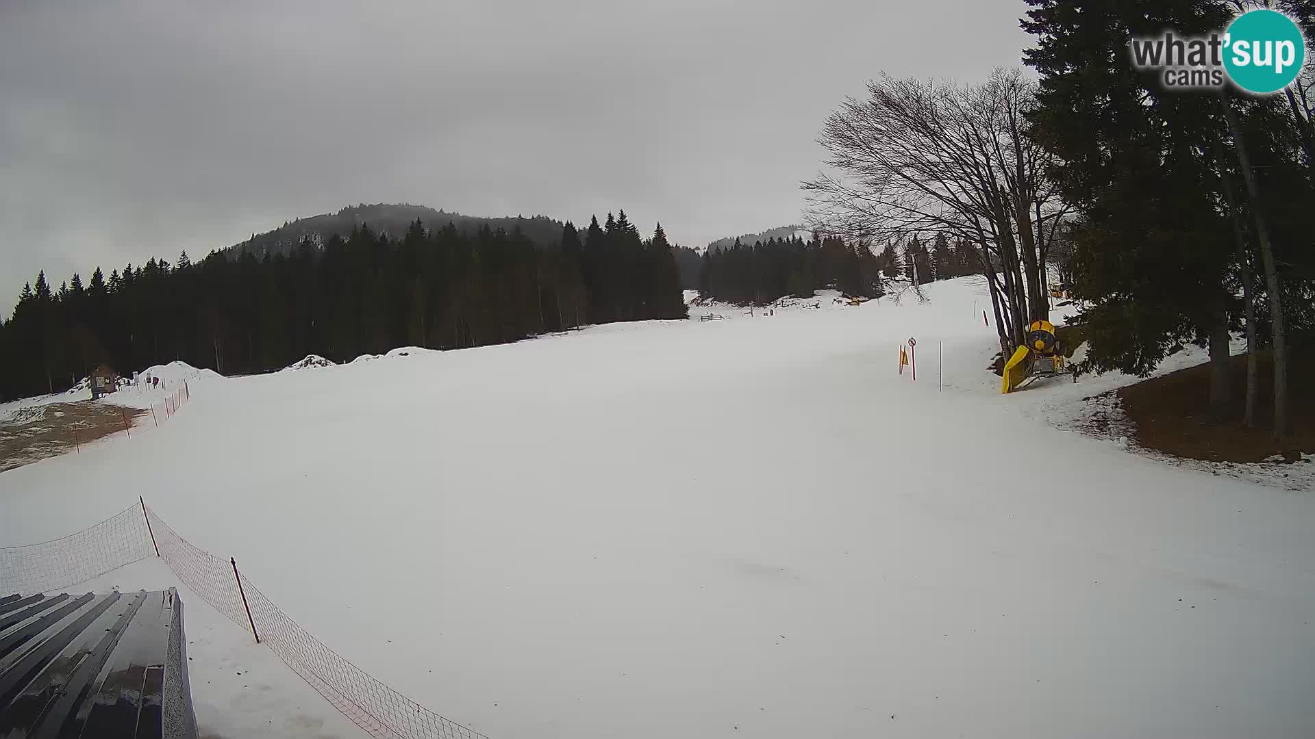 Webcam en vivo Estación de esquí de Sorica – Sorška planina – Eslovenia