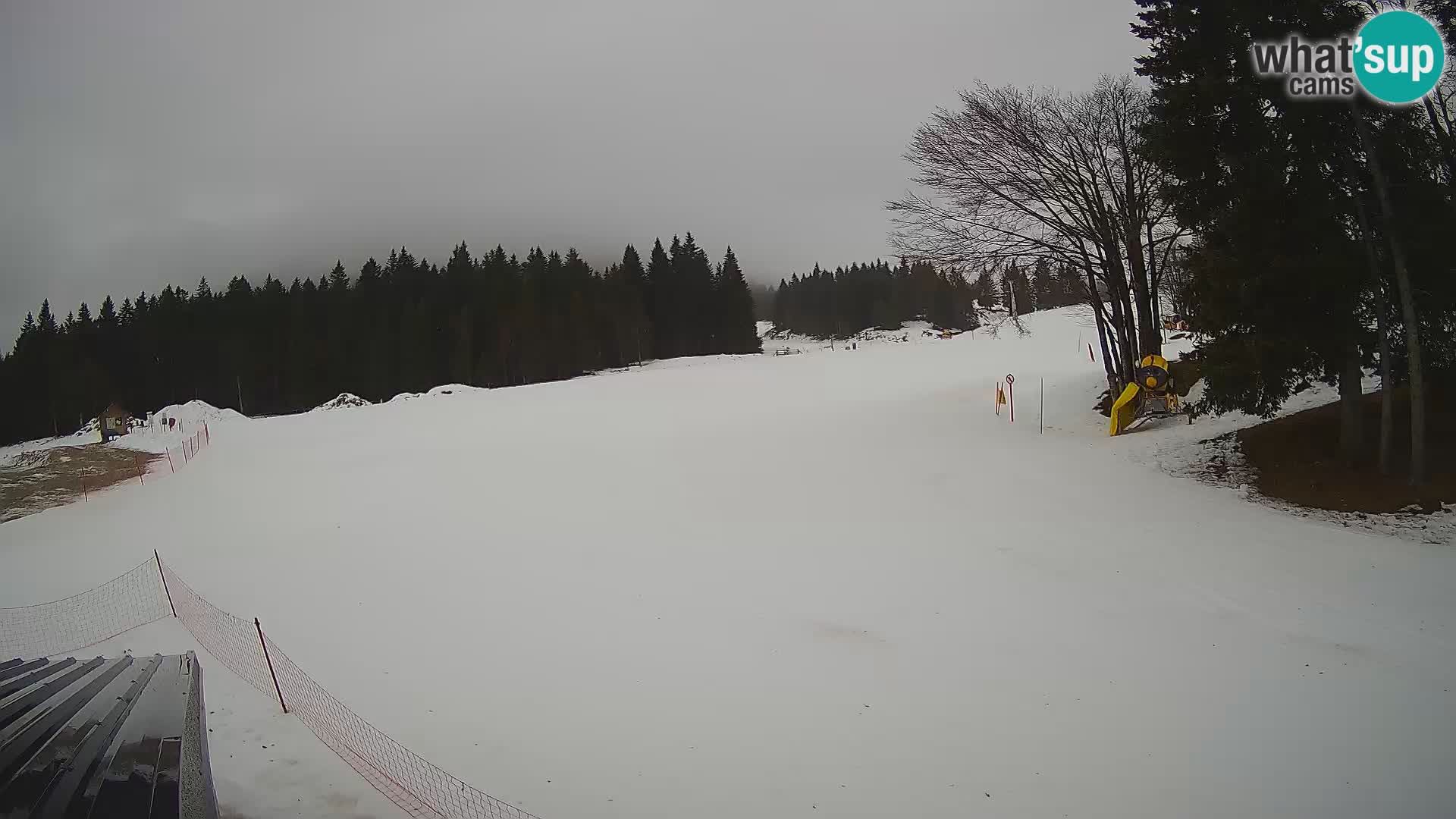 Smučišče Sorica spletna kamera – Sorška planina
