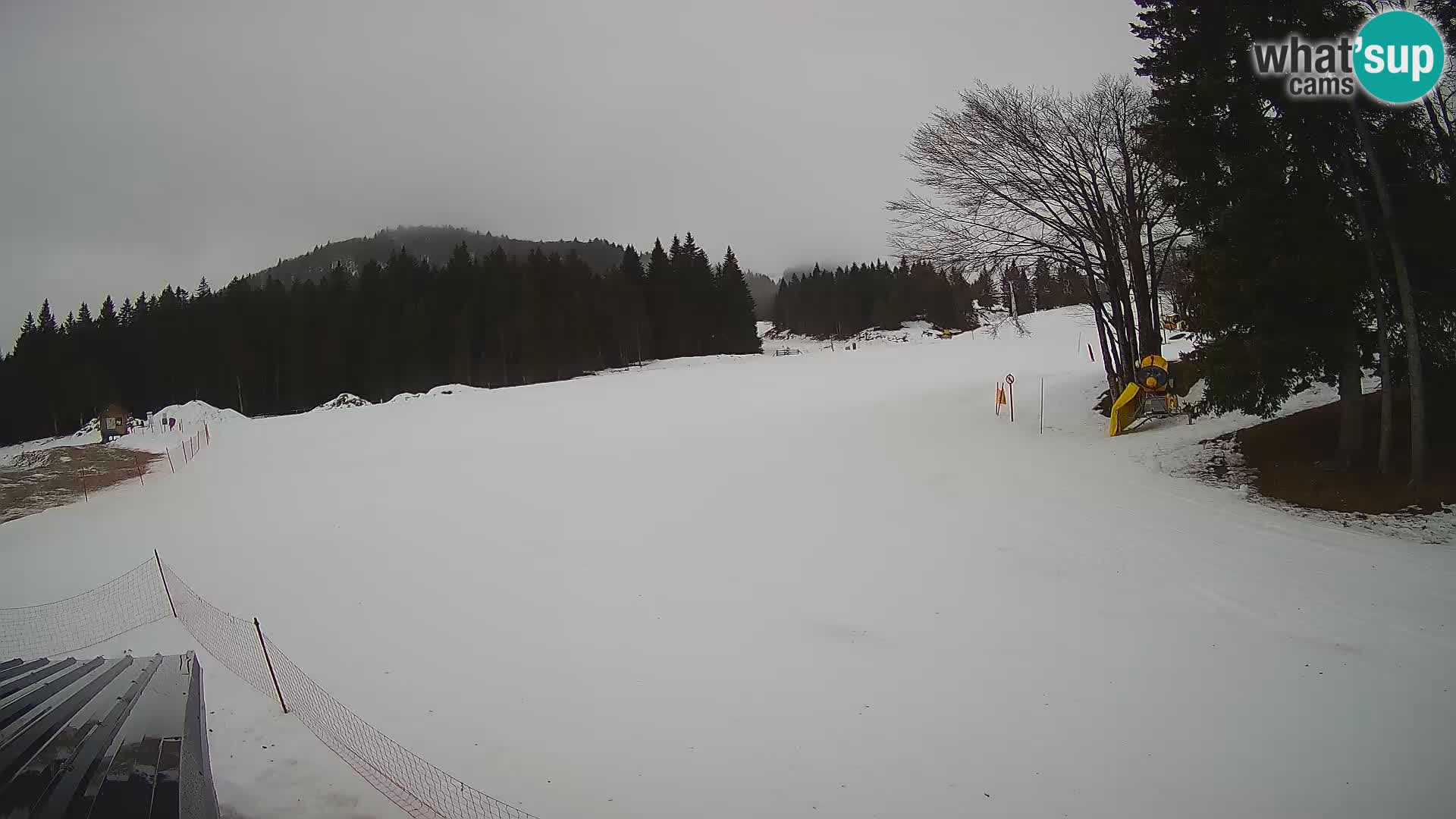 Smučišče Sorica spletna kamera – Sorška planina