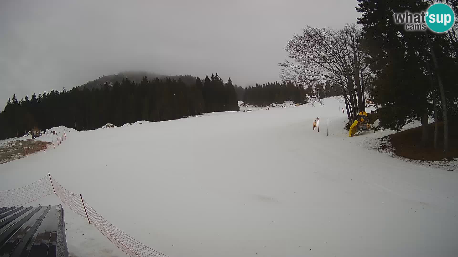 Smučišče Sorica spletna kamera – Sorška planina