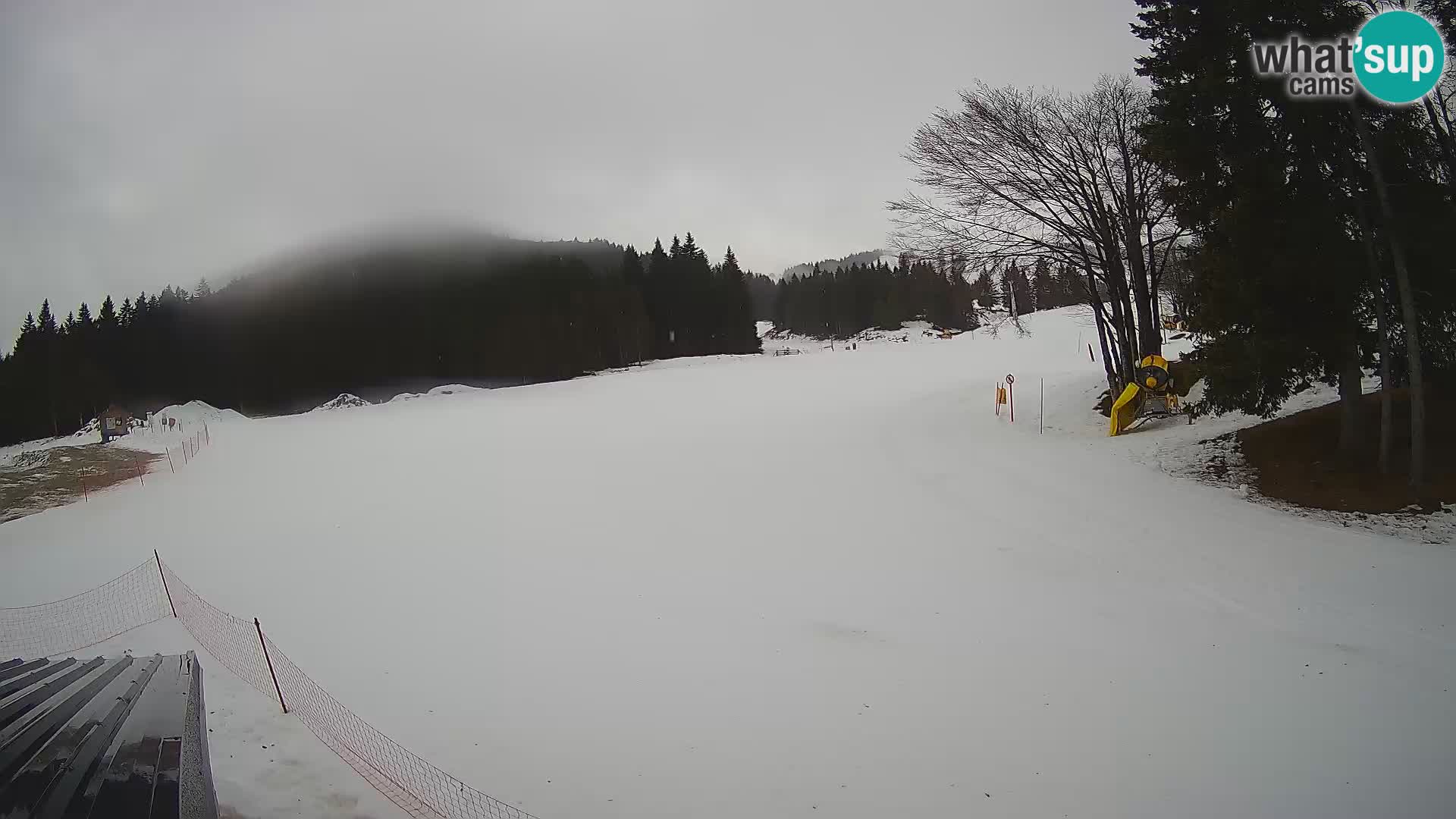 Smučišče Sorica spletna kamera – Sorška planina