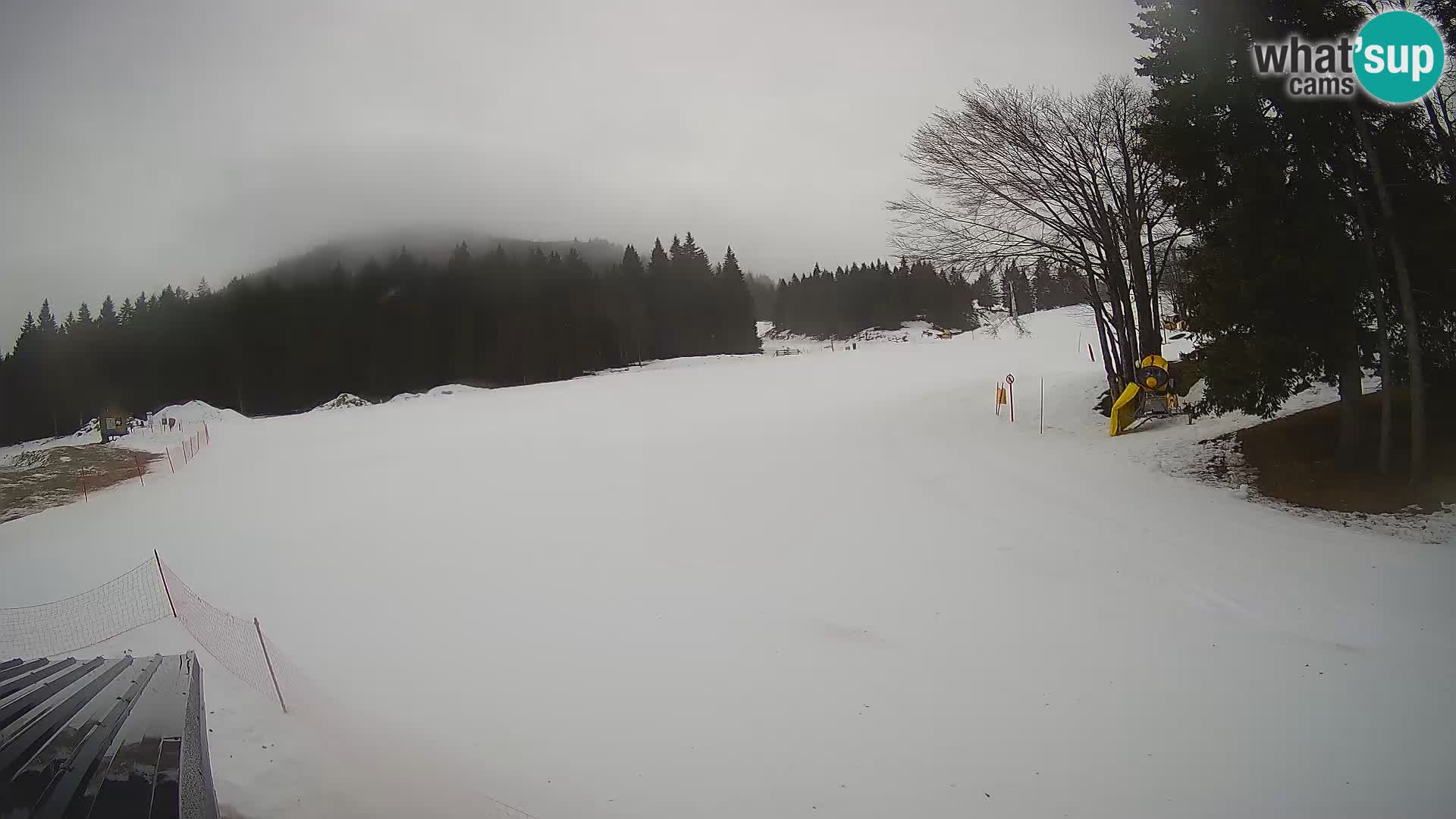 Smučišče Sorica spletna kamera – Sorška planina