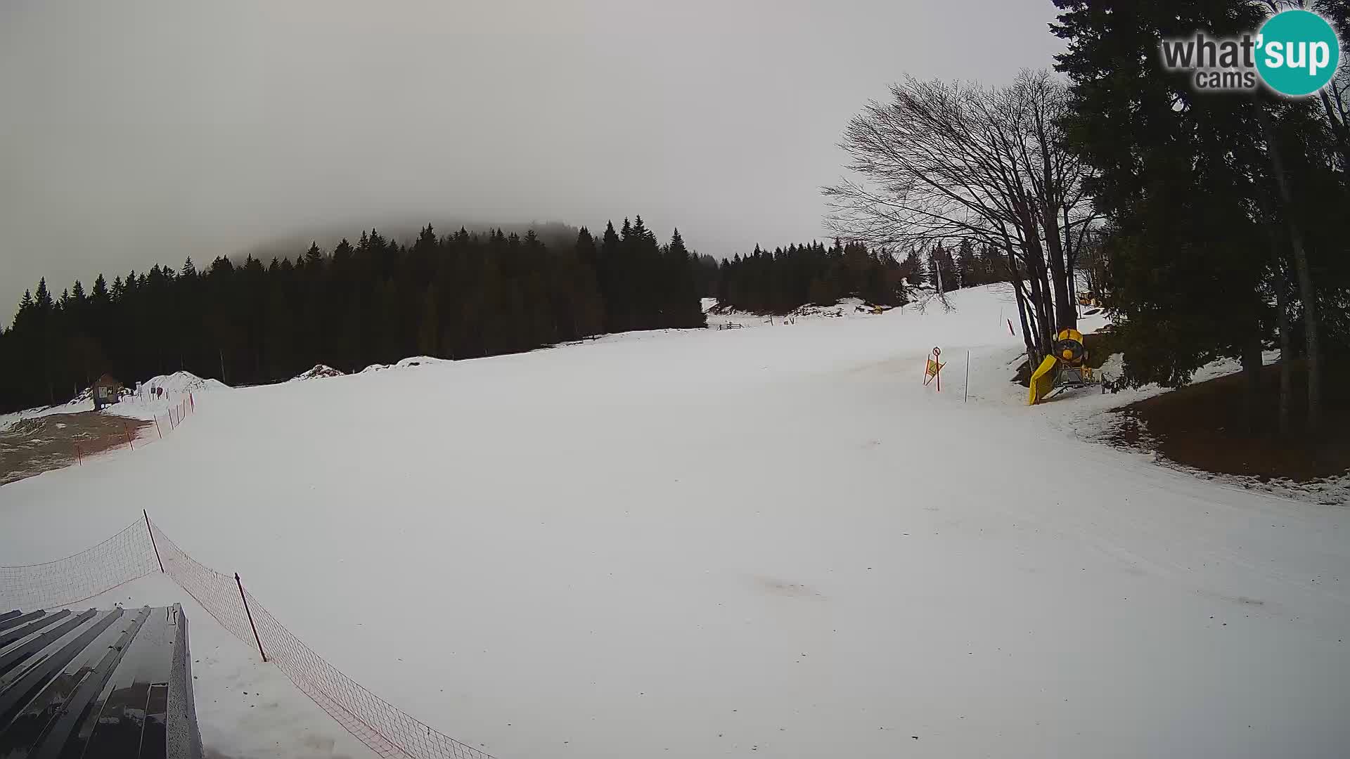 Smučišče Sorica spletna kamera – Sorška planina