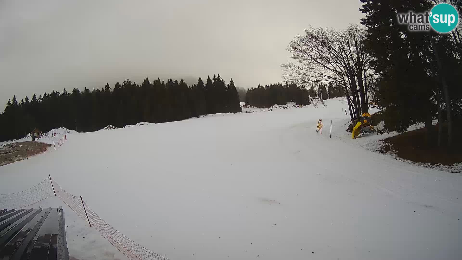 Webcam en vivo Estación de esquí de Sorica – Sorška planina – Eslovenia