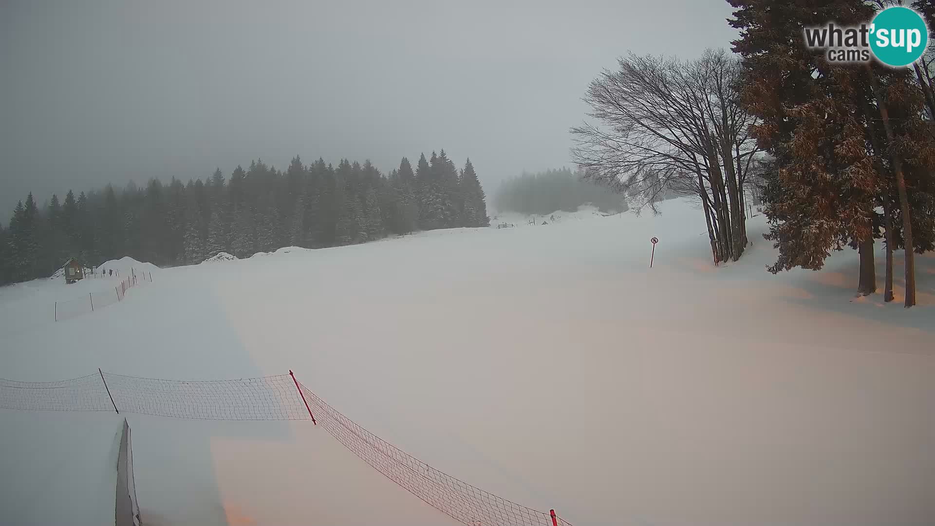 Webcam en vivo Estación de esquí de Sorica – Sorška planina – Eslovenia