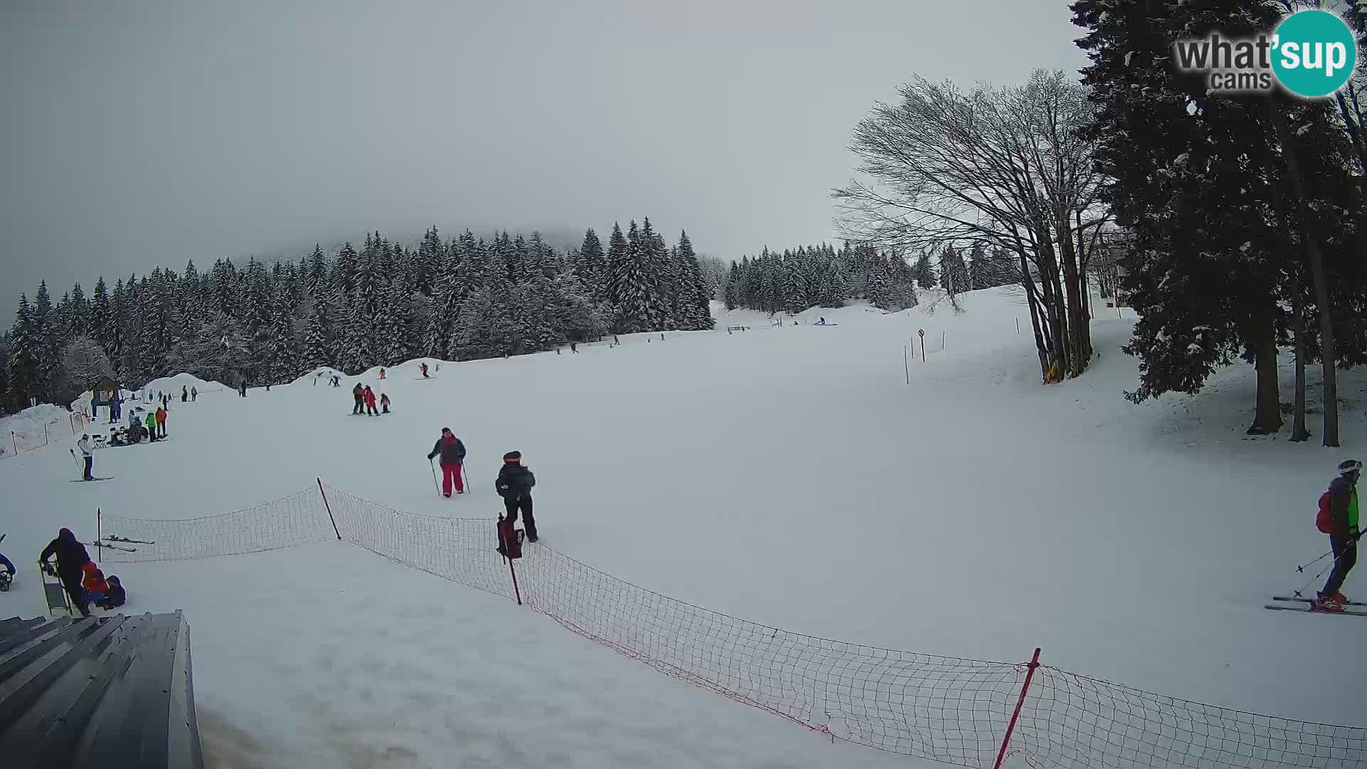 Smučišče Sorica spletna kamera – Sorška planina