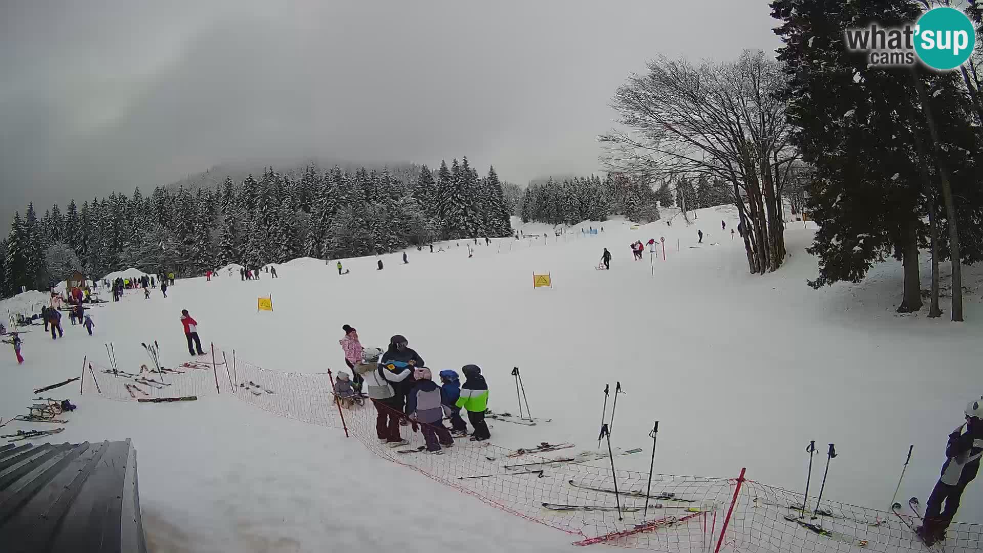 Webcam en vivo Estación de esquí de Sorica – Sorška planina – Eslovenia