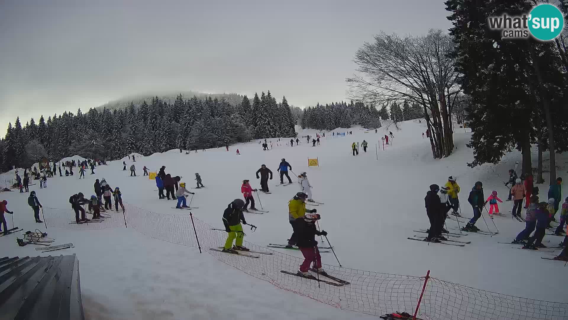 Webcam en vivo Estación de esquí de Sorica – Sorška planina – Eslovenia
