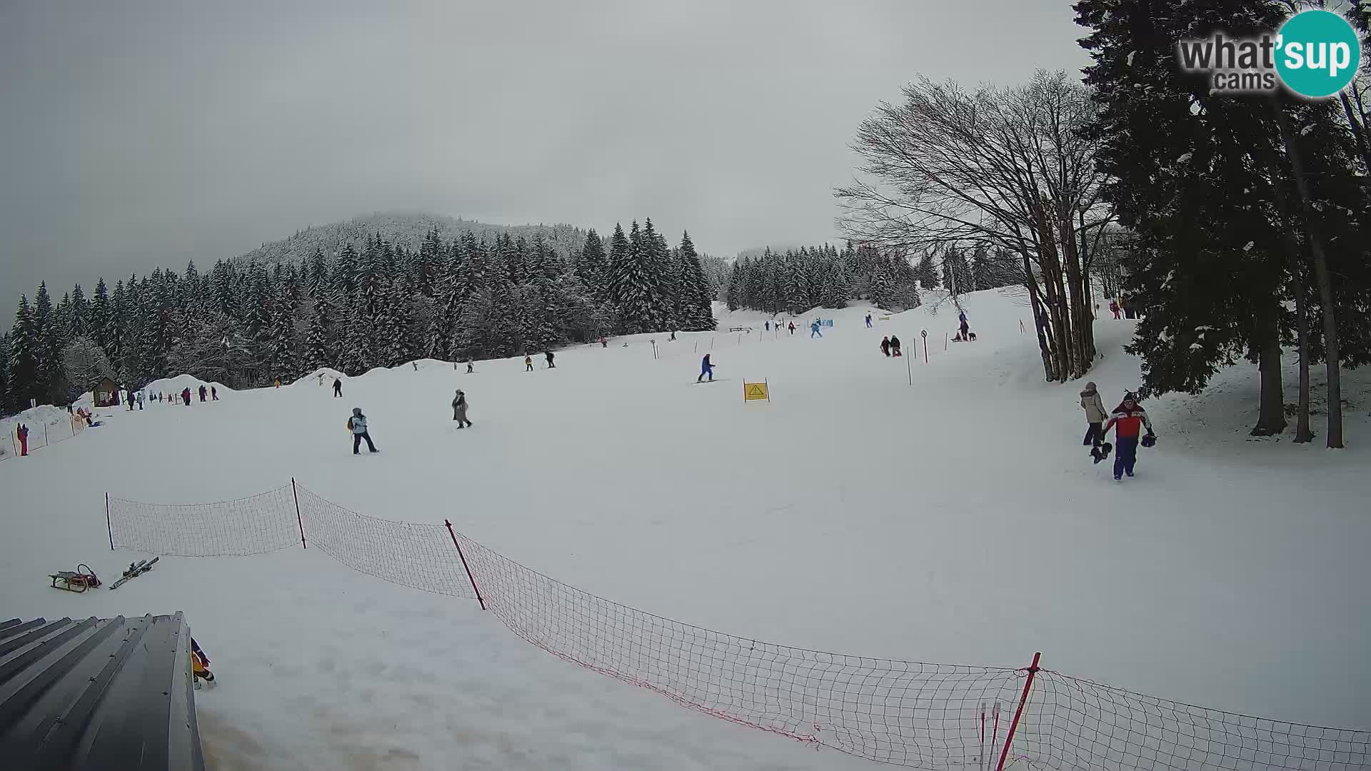 Smučišče Sorica spletna kamera – Sorška planina