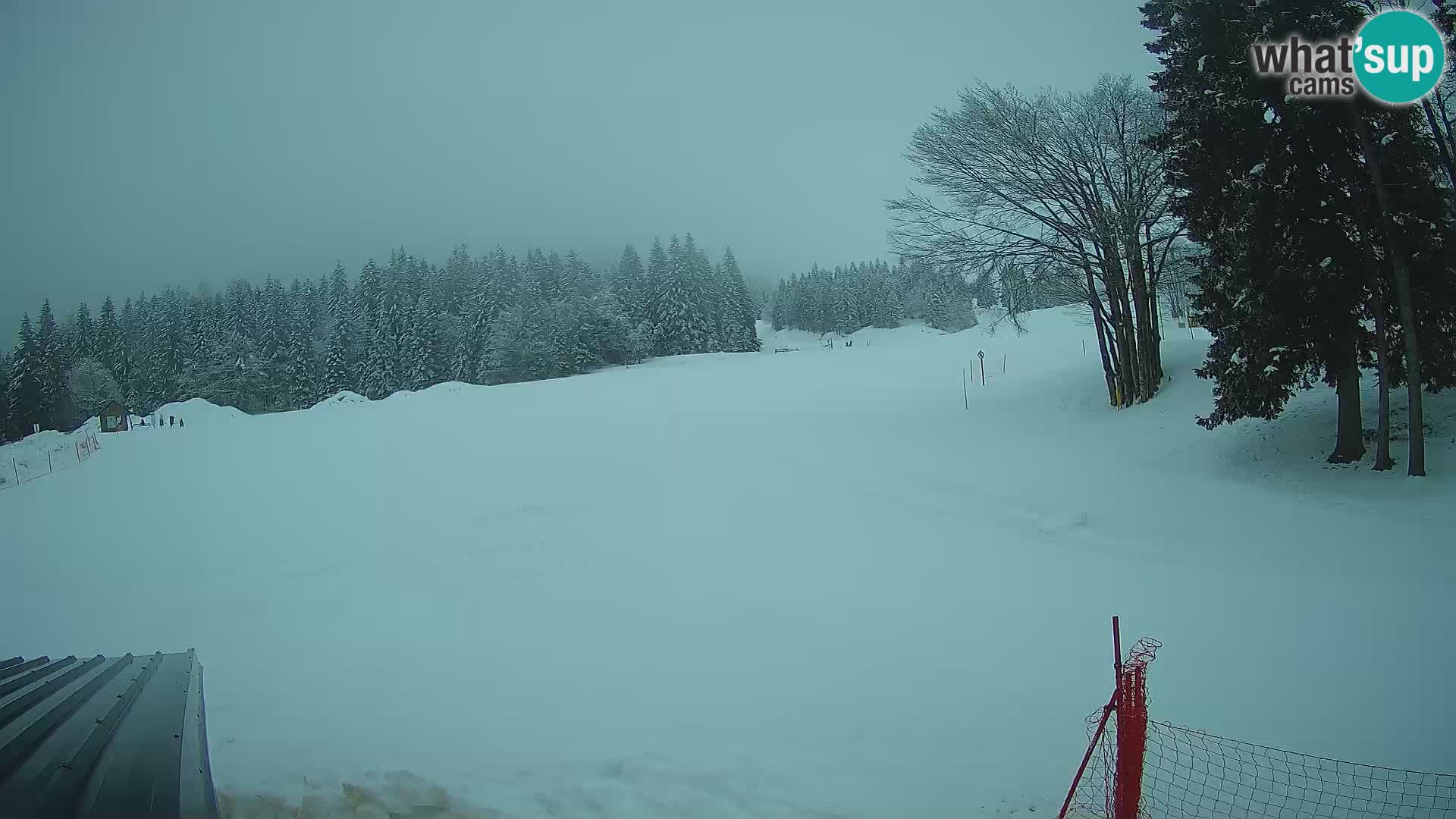 Live Webcam Stazione sciistica di Sorica – Sorška planina – Slovenia