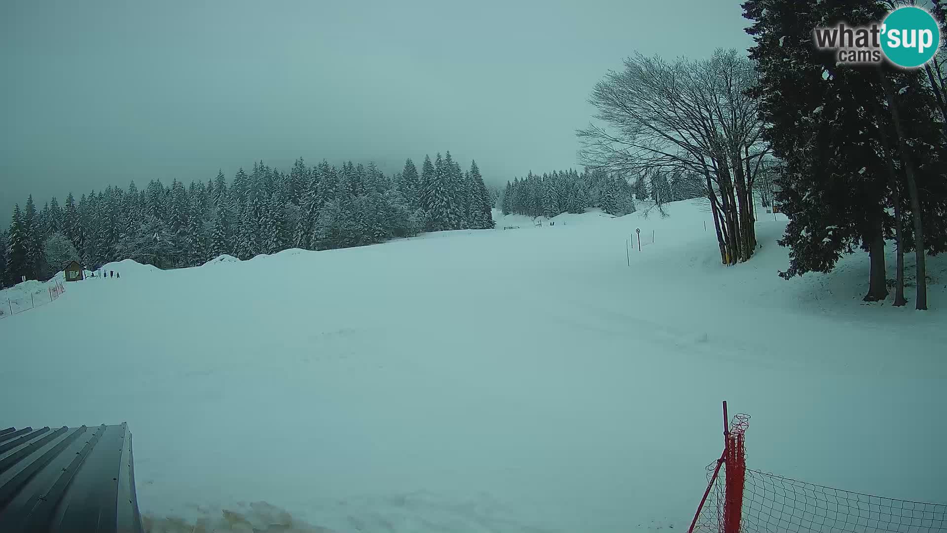 Webcam en vivo Estación de esquí de Sorica – Sorška planina – Eslovenia