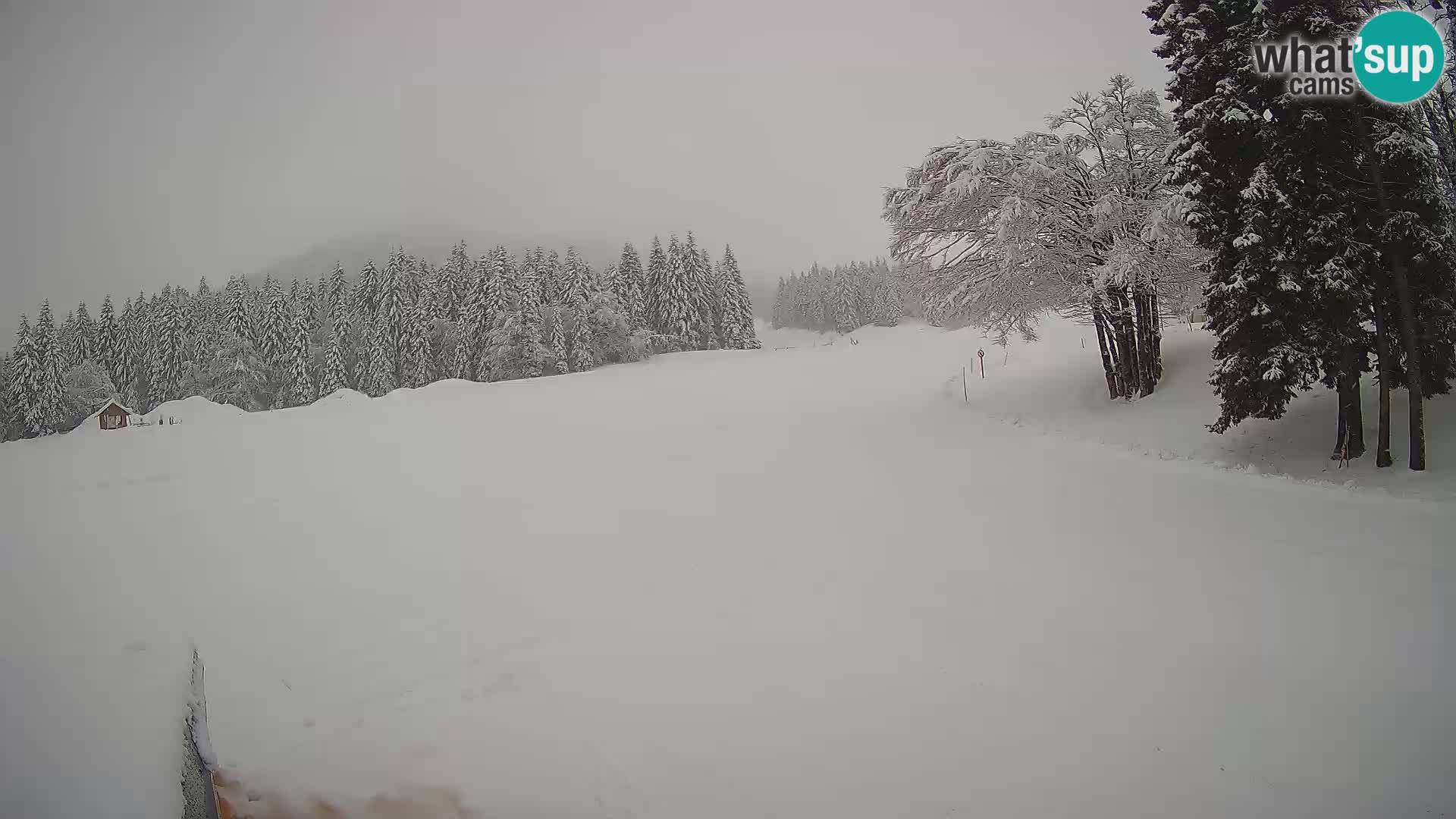 Live Webcam Sorica ski resort – Sorška planina – Slovenia