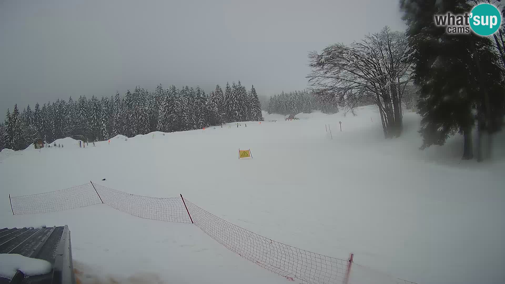 Live Webcam Stazione sciistica di Sorica – Sorška planina – Slovenia