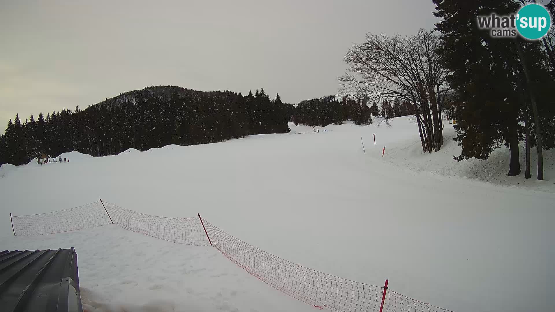 Smučišče Sorica spletna kamera – Sorška planina