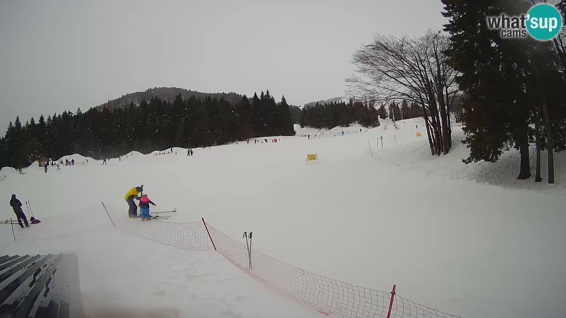 Smučišče Sorica spletna kamera – Sorška planina