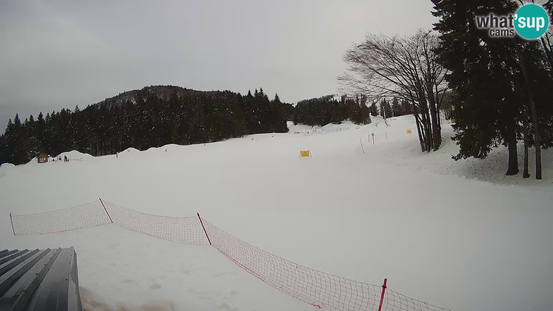 Smučišče Sorica spletna kamera – Sorška planina