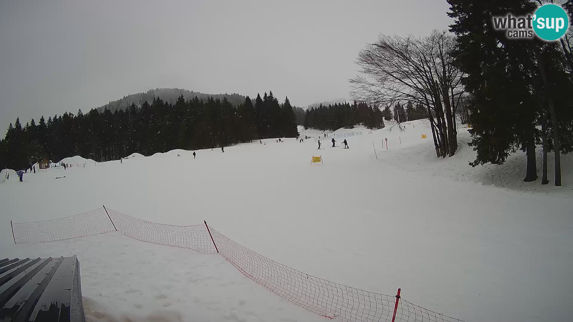 Smučišče Sorica spletna kamera – Sorška planina
