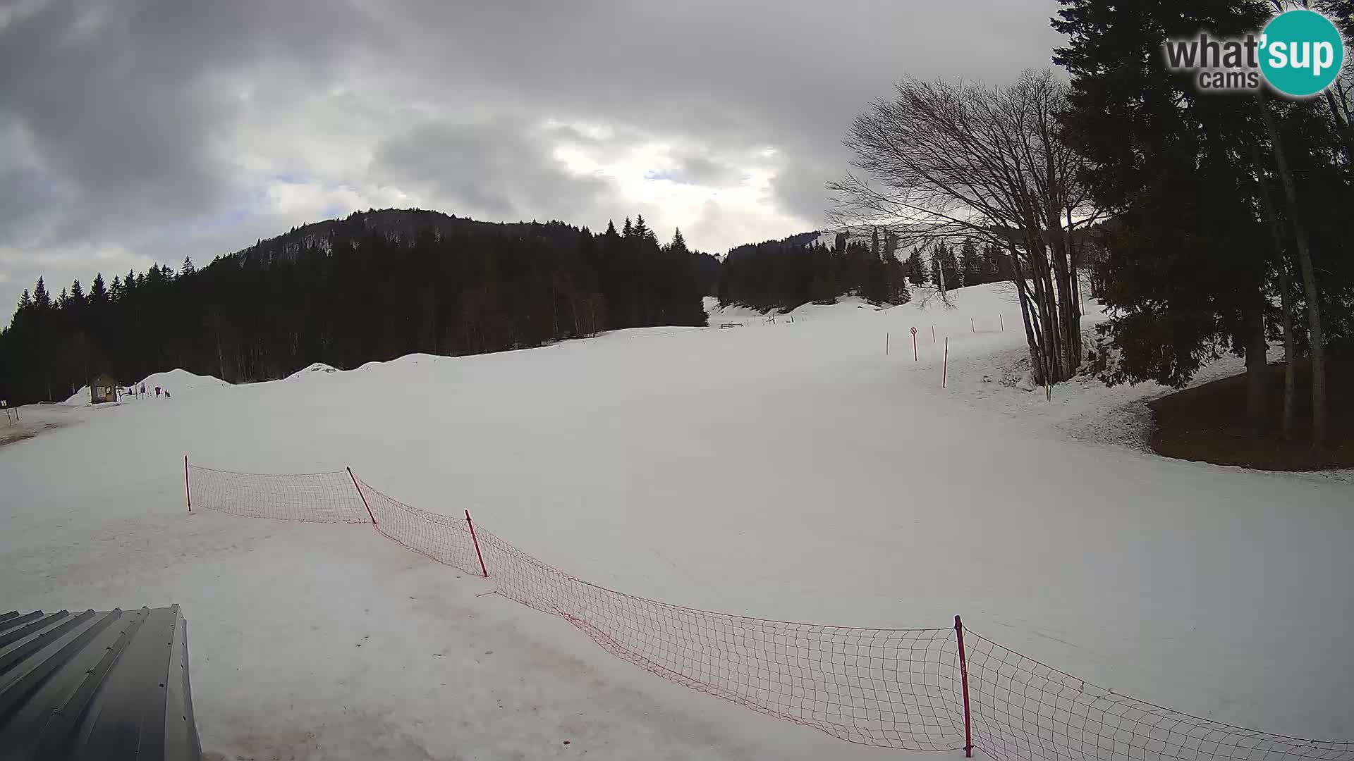 Smučišče Sorica spletna kamera – Sorška planina