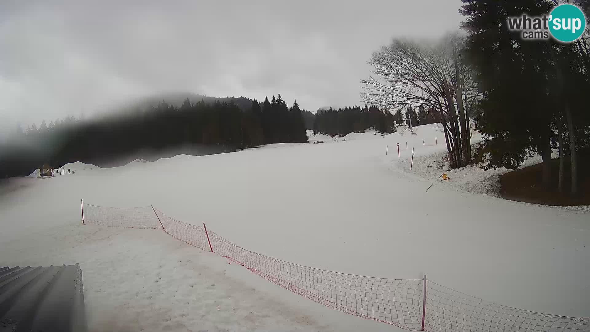 Smučišče Sorica spletna kamera – Sorška planina