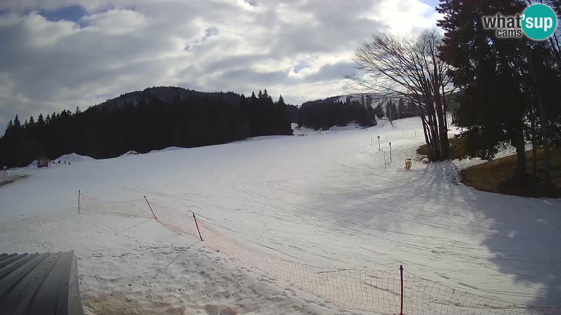 Live Webcam Sorica ski resort – Sorška planina – Slovenia