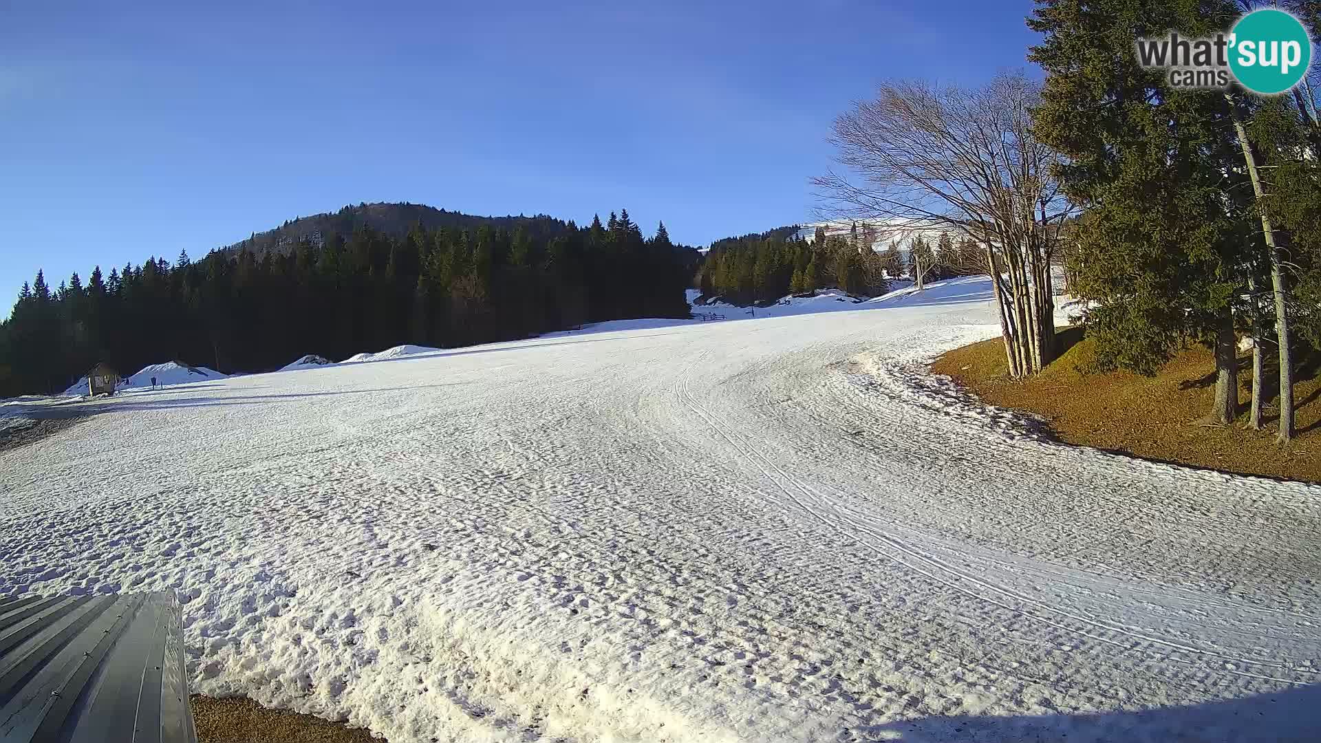 Live Webcam Sorica ski resort – Sorška planina – Slovenia