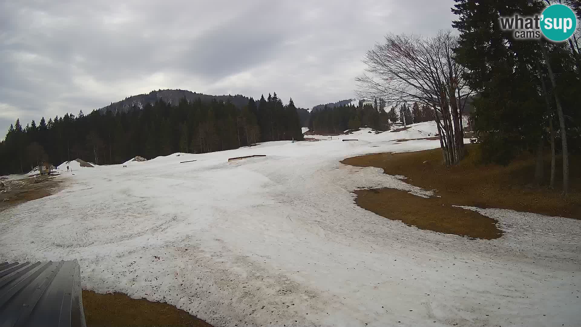 Live Webcam Sorica ski resort – Sorška planina – Slovenia