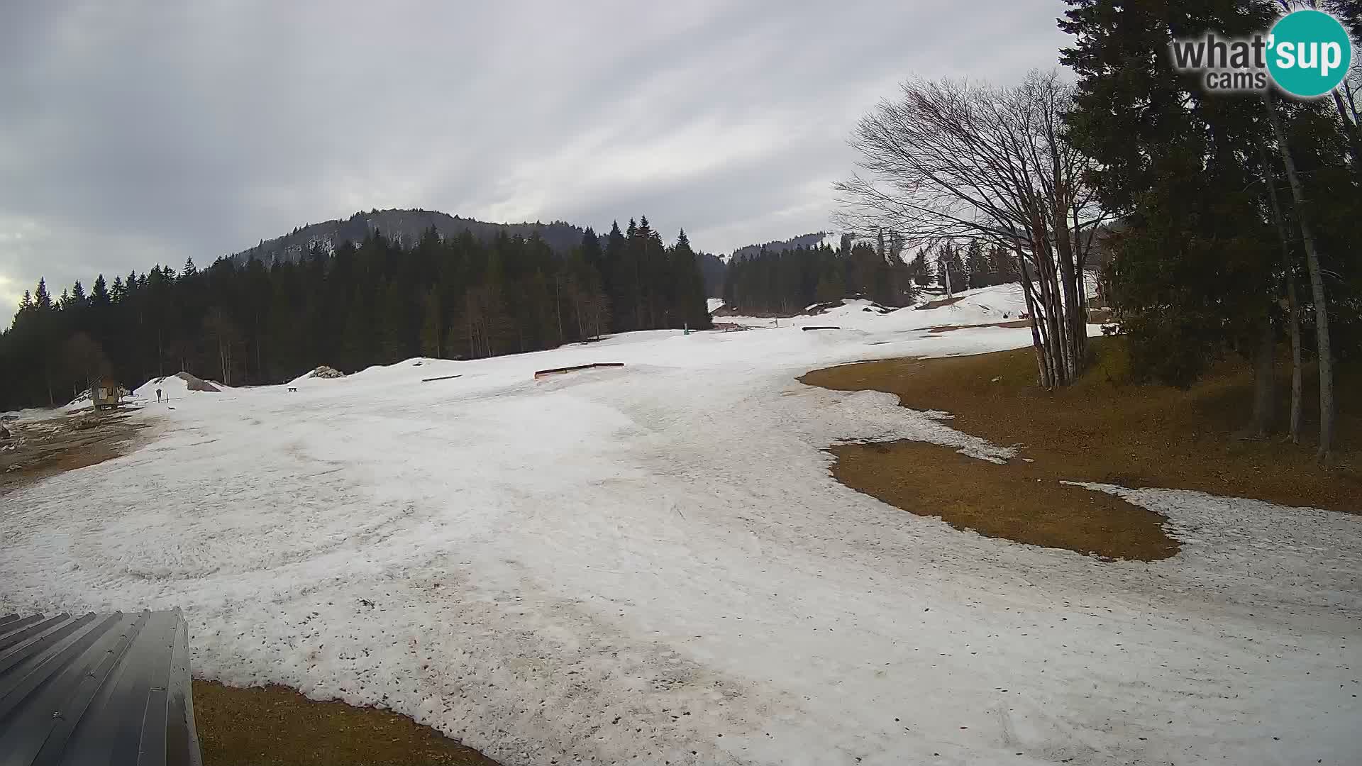 Smučišče Sorica spletna kamera – Sorška planina
