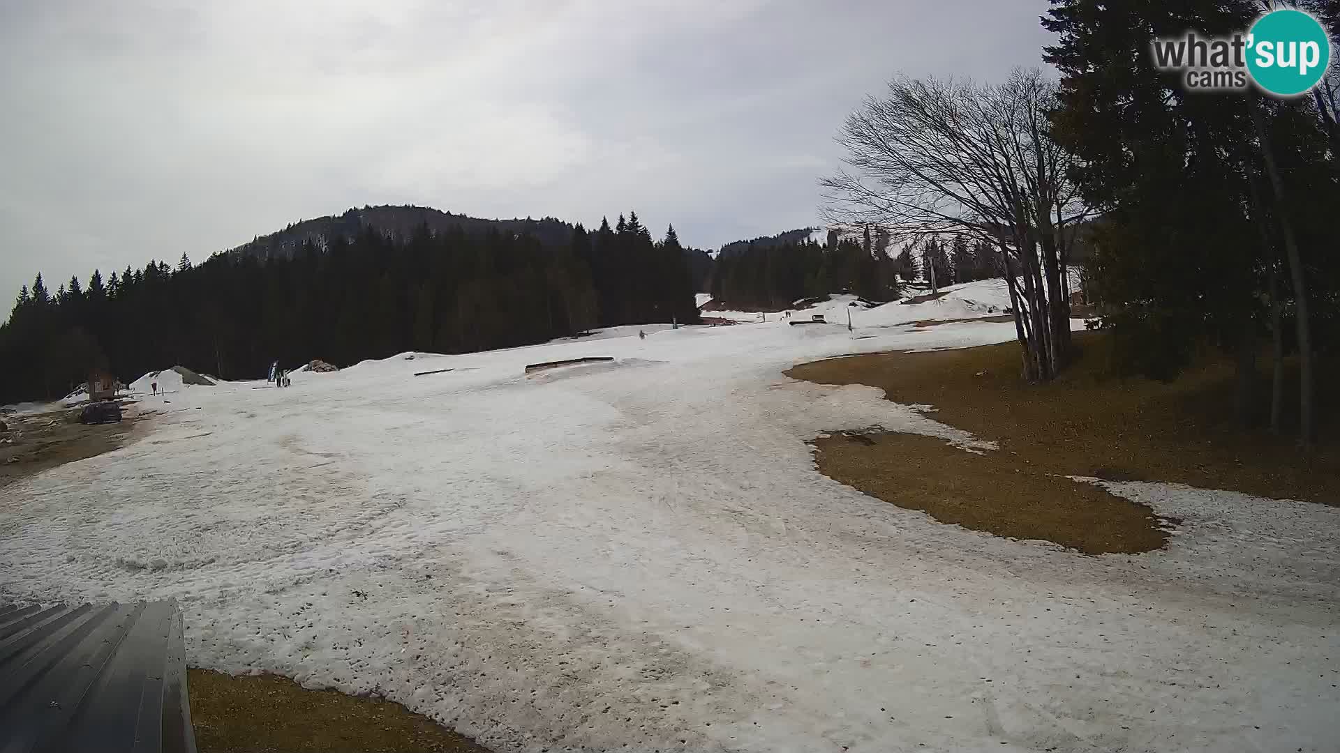 Smučišče Sorica spletna kamera – Sorška planina