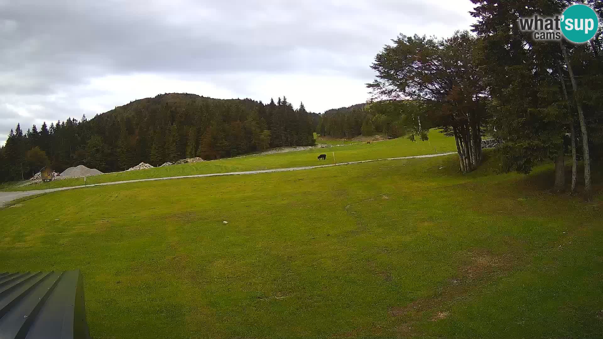 Smučišče Sorica spletna kamera – Sorška planina