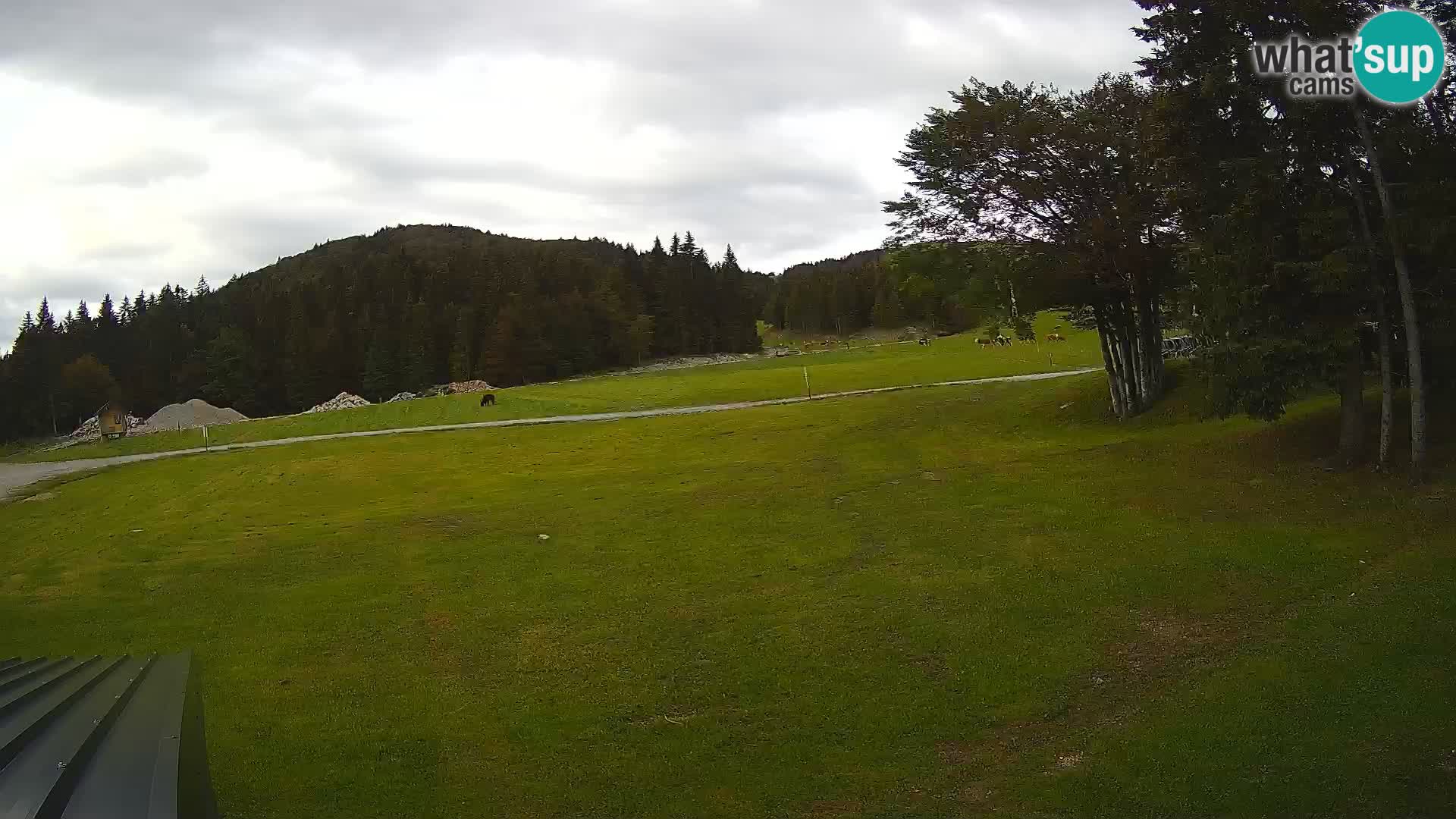 Live Webcam Sorica ski resort – Sorška planina – Slovenia