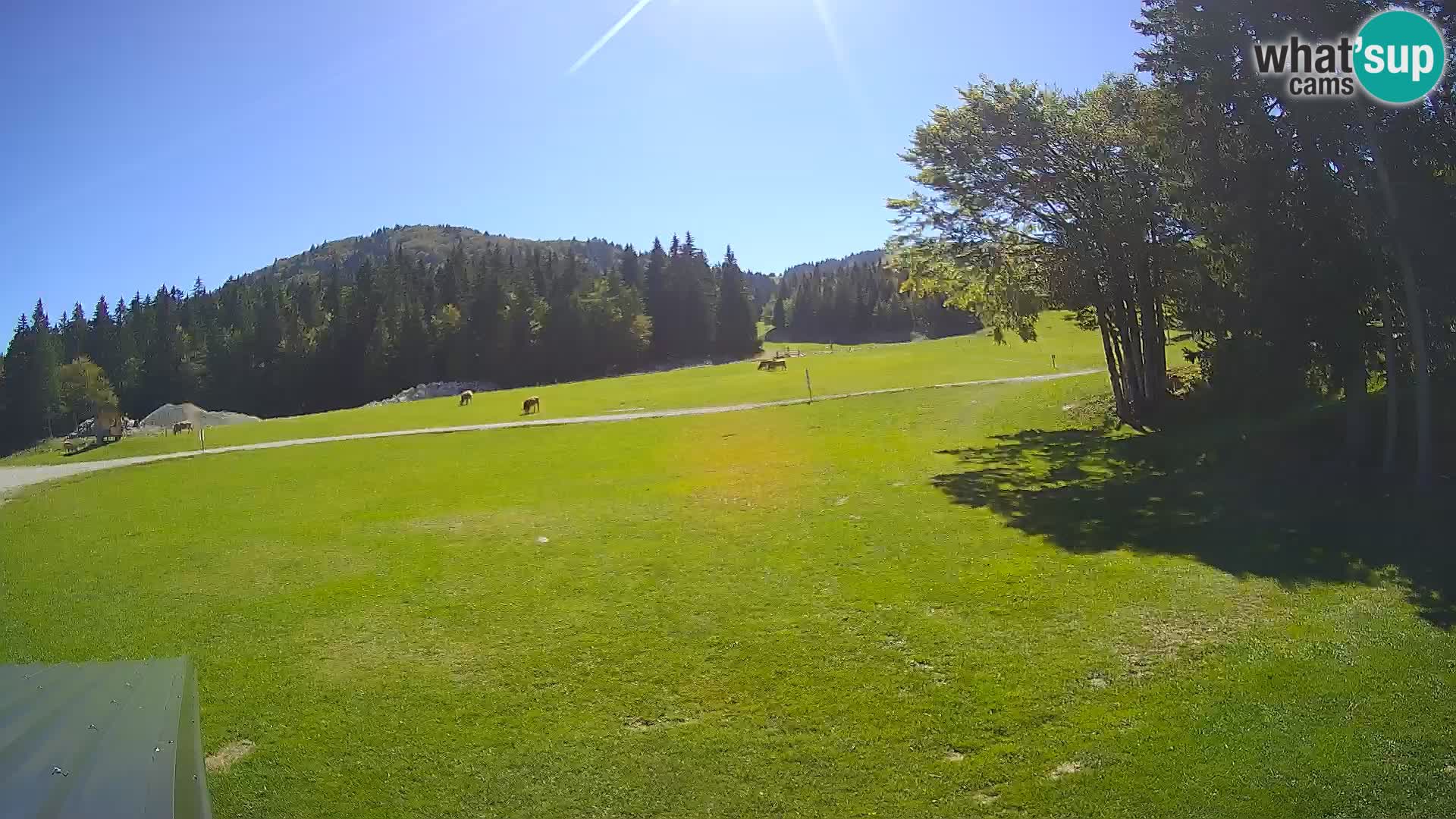 Live Webcam Sorica ski resort – Sorška planina – Slovenia