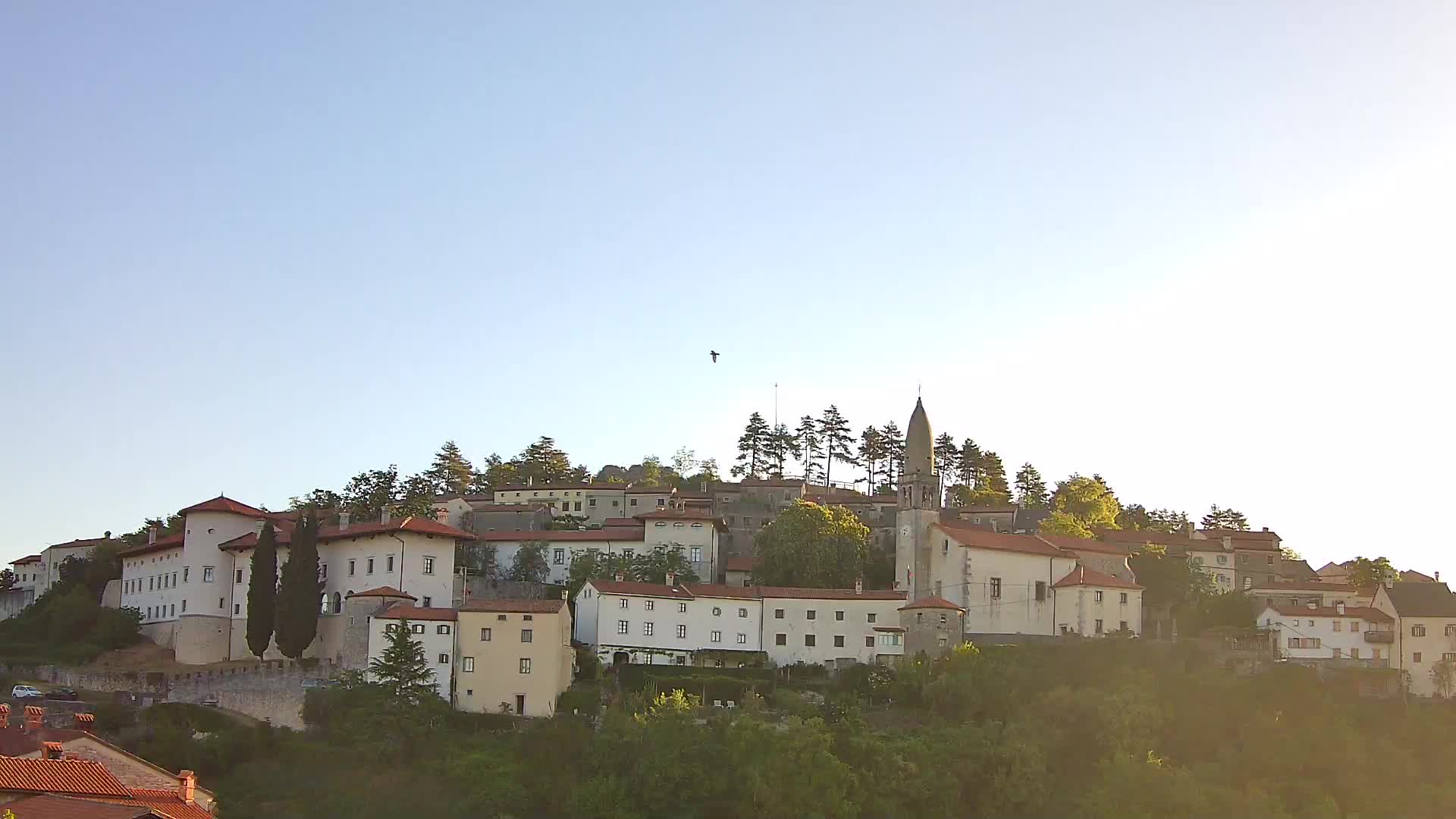 Štanjel Uživo: Otkrijte Srce Krasne Regije