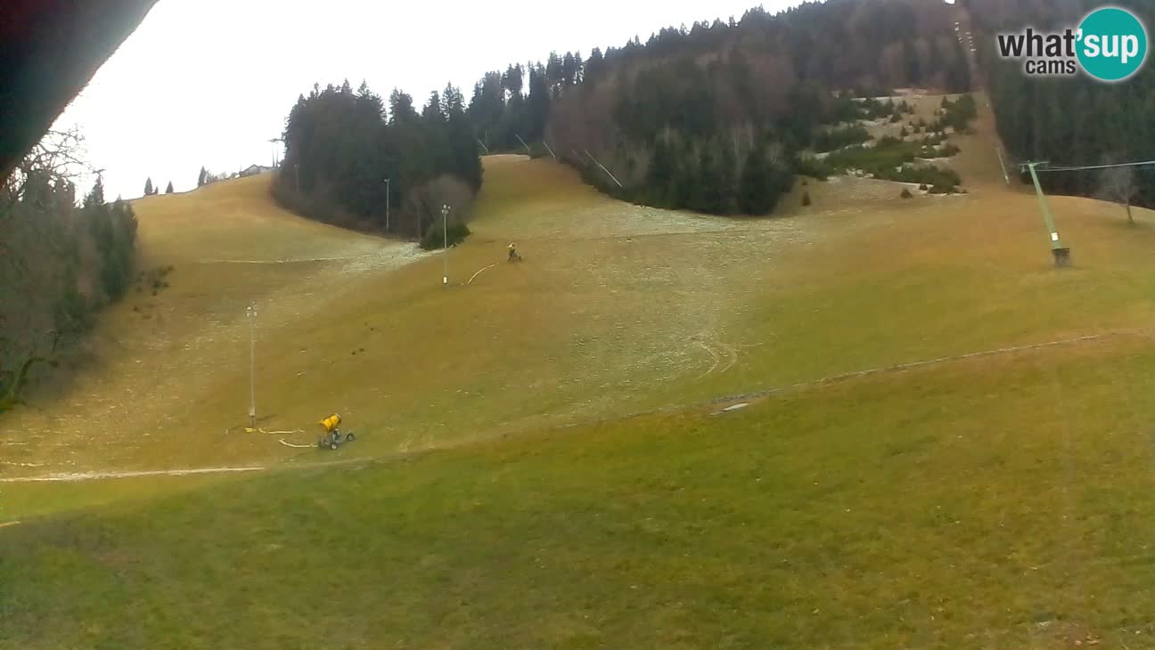 Ski resort Stari Vrh – Sidro