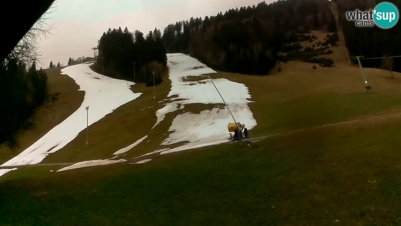 Ski resort Stari Vrh – Sidro