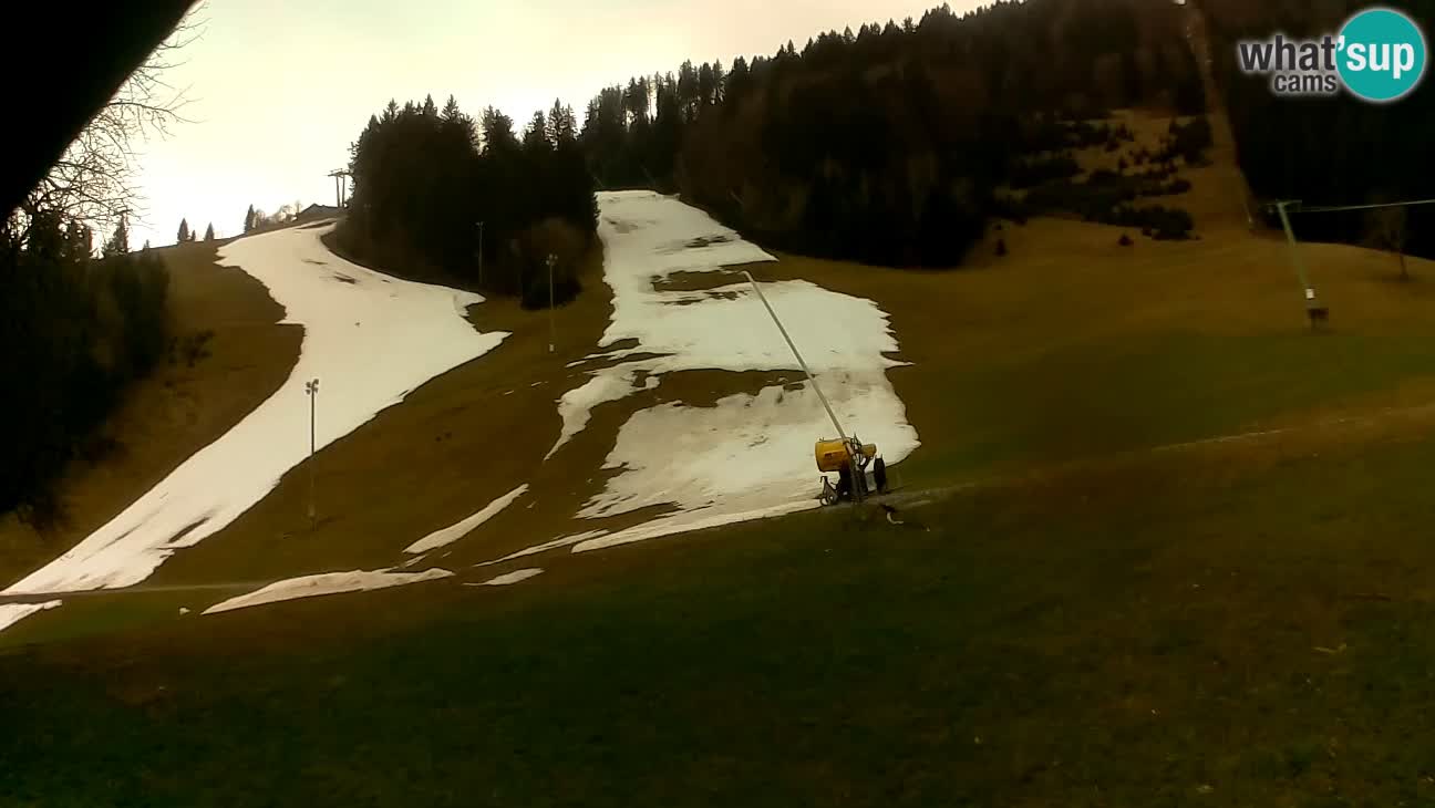 Ski resort Stari Vrh – Sidro