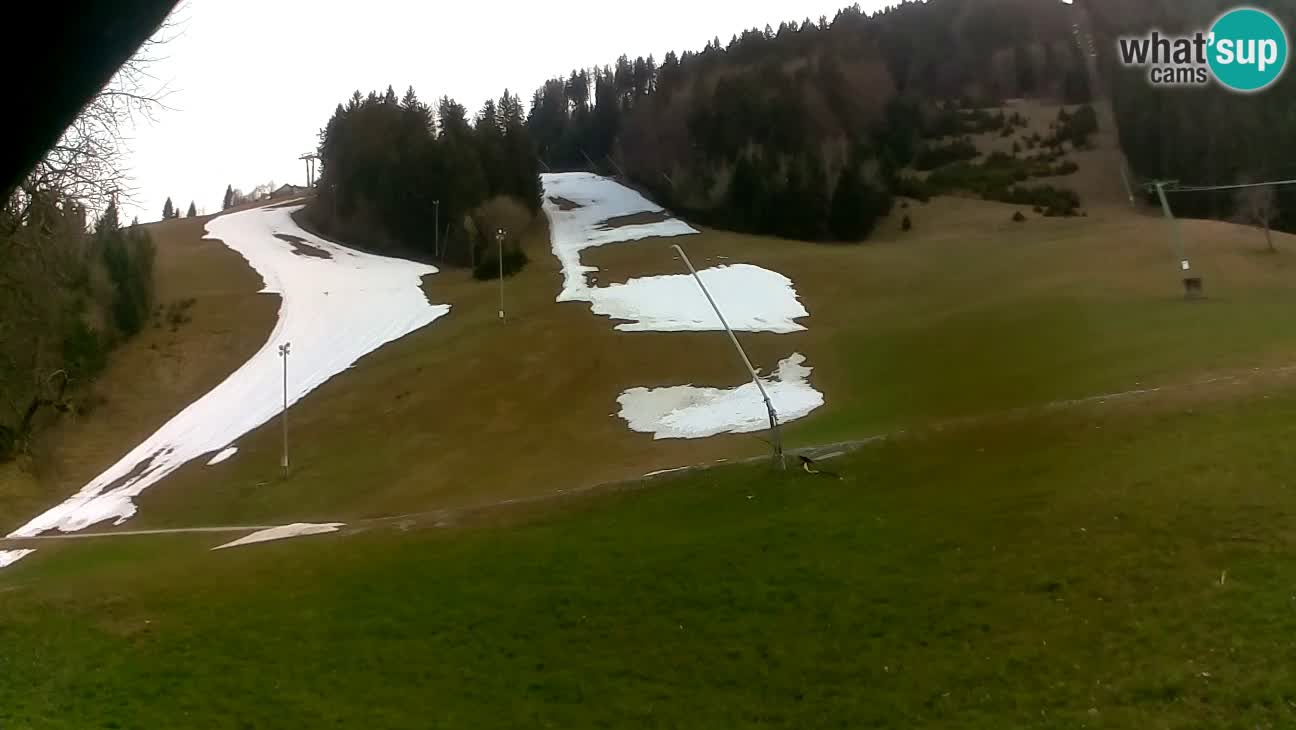 Ski resort Stari Vrh – Sidro