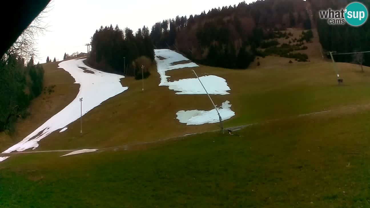 Ski resort Stari Vrh – Sidro