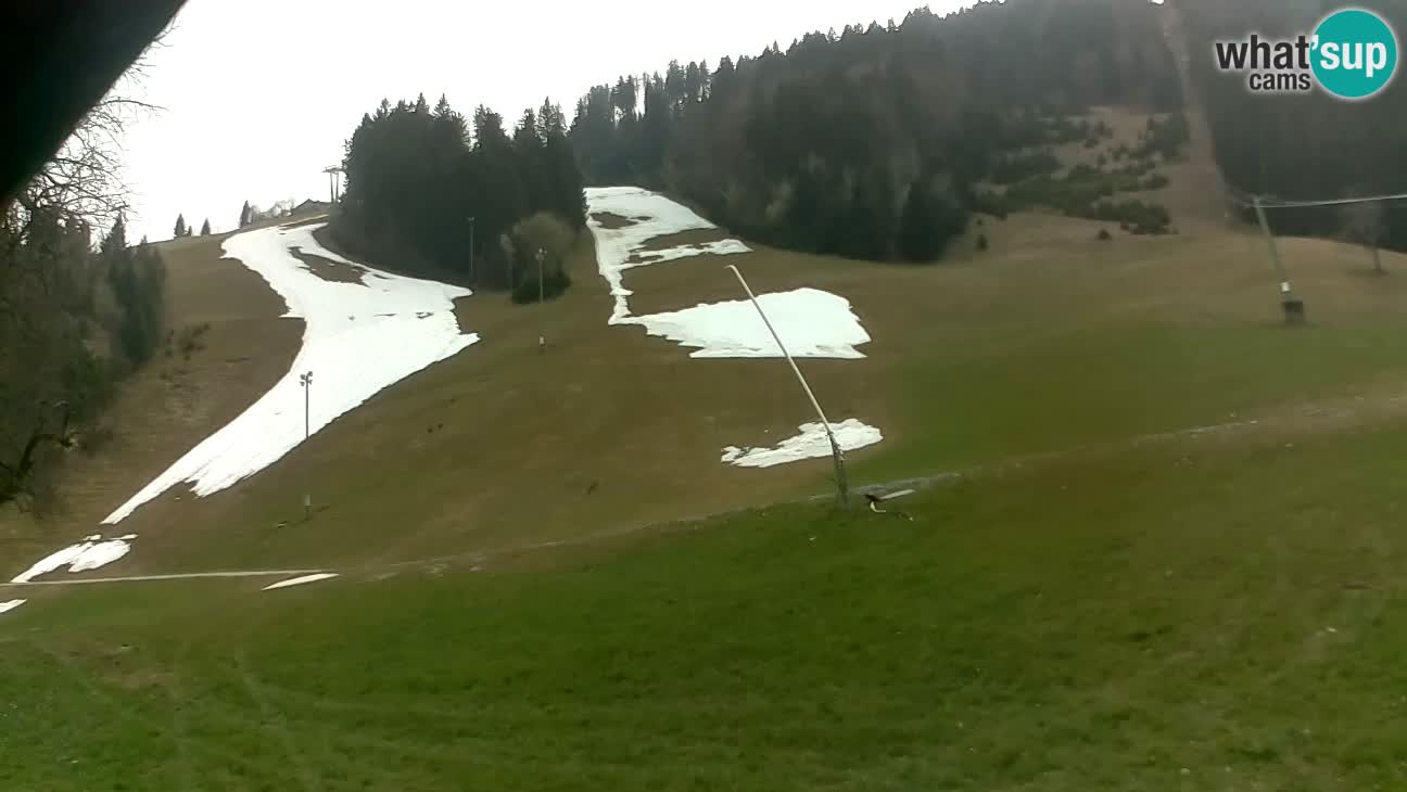 Ski resort Stari Vrh – Sidro