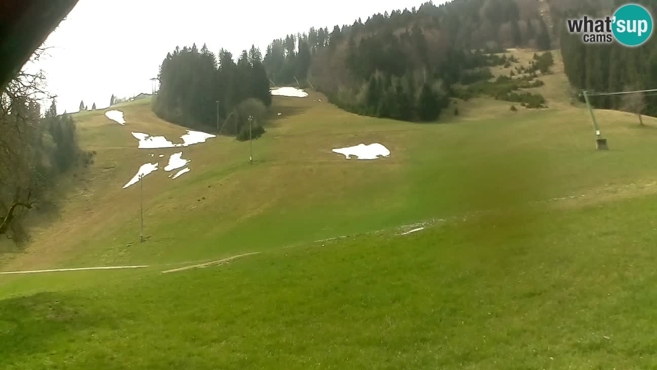 Ski resort Stari Vrh – Sidro